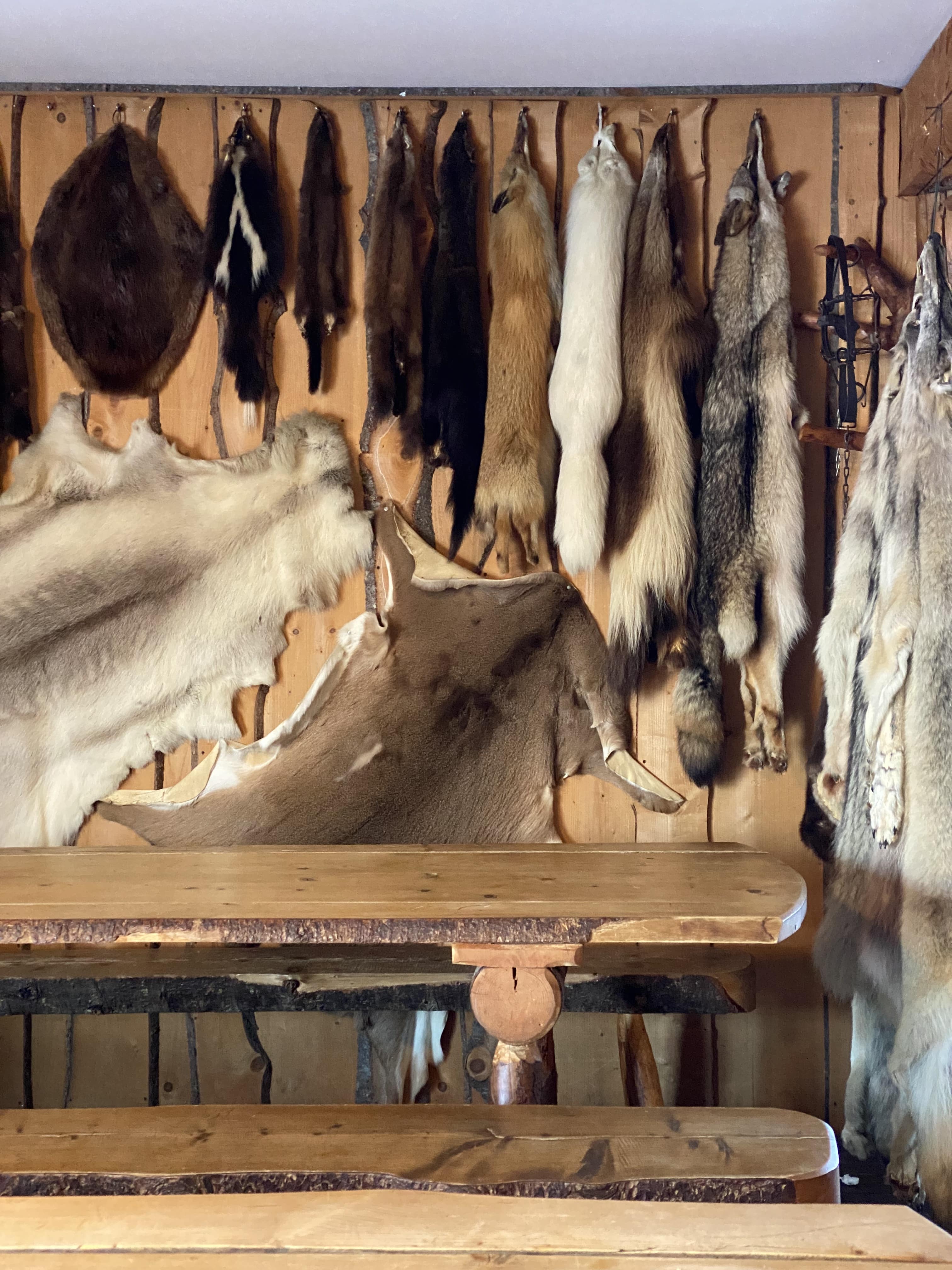 Weekend_dans_les_Laurentides_quoi_faire