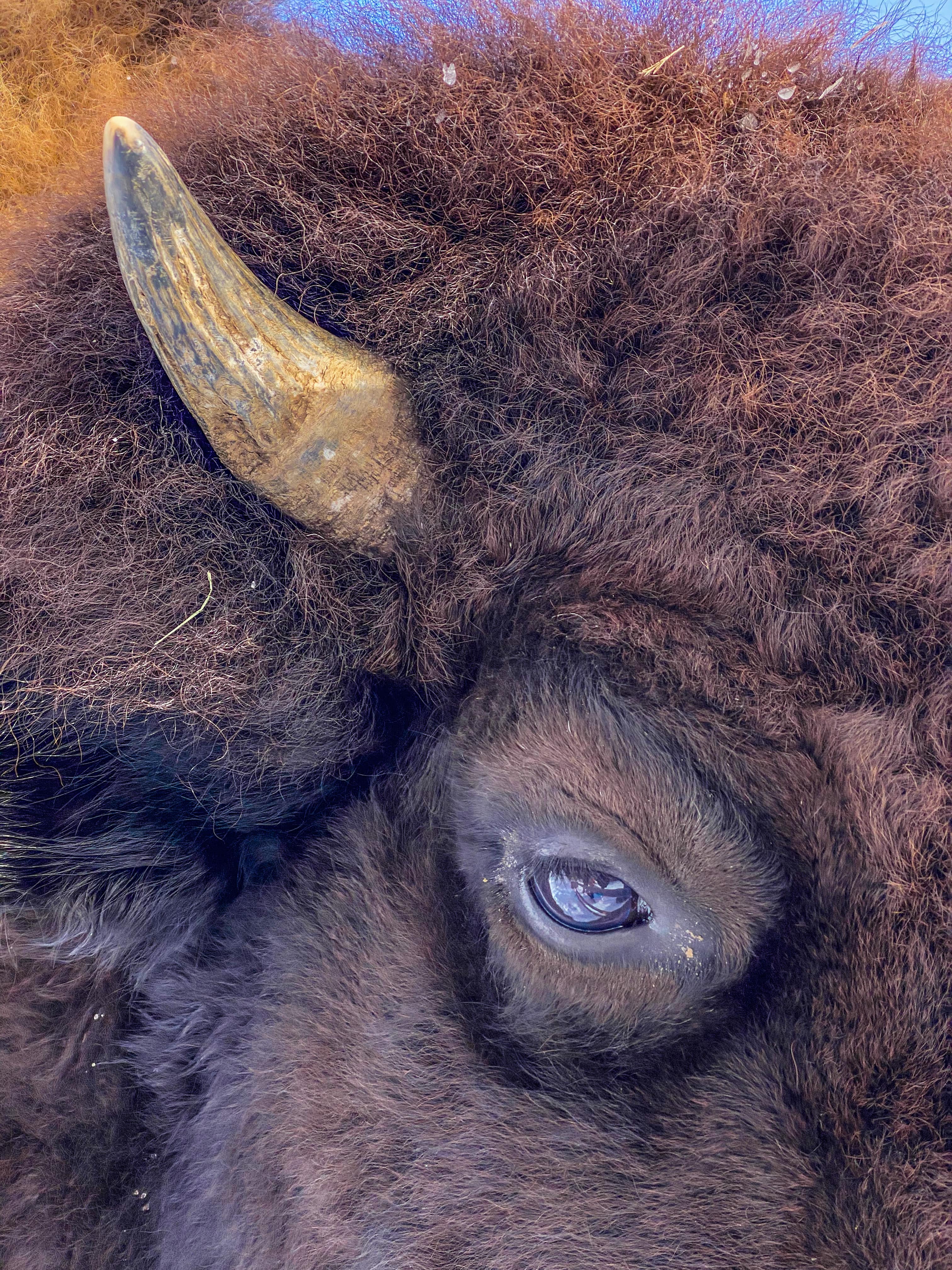 Weekend_dans_les_Laurentides_quoi_faire