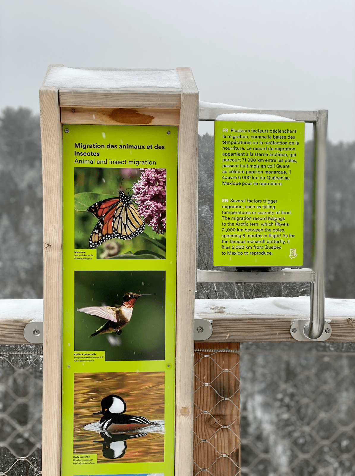 Weekend_dans_les_Laurentides_quoi_faire