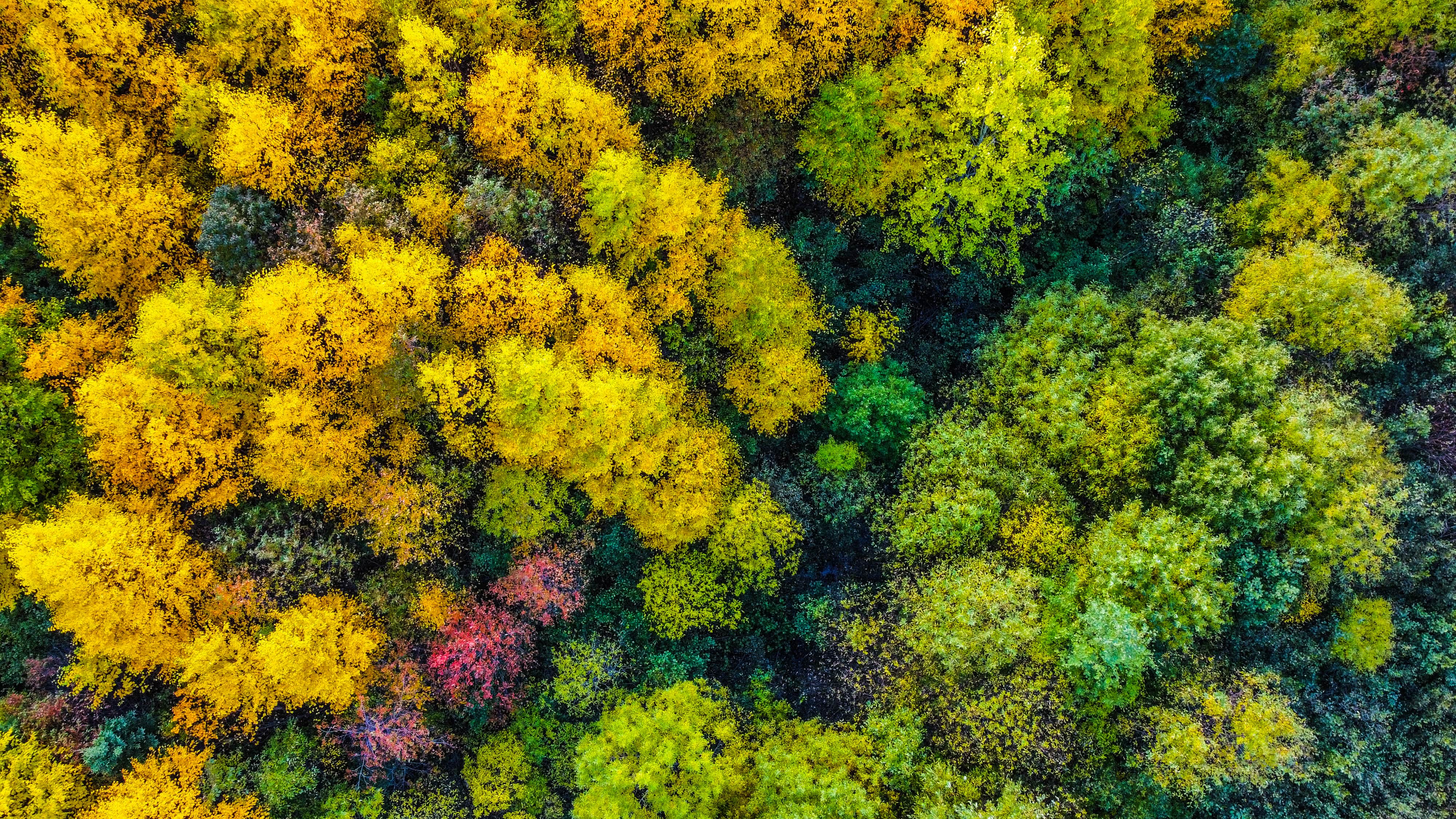 Cote_Nord_Road_trip_Expedition51