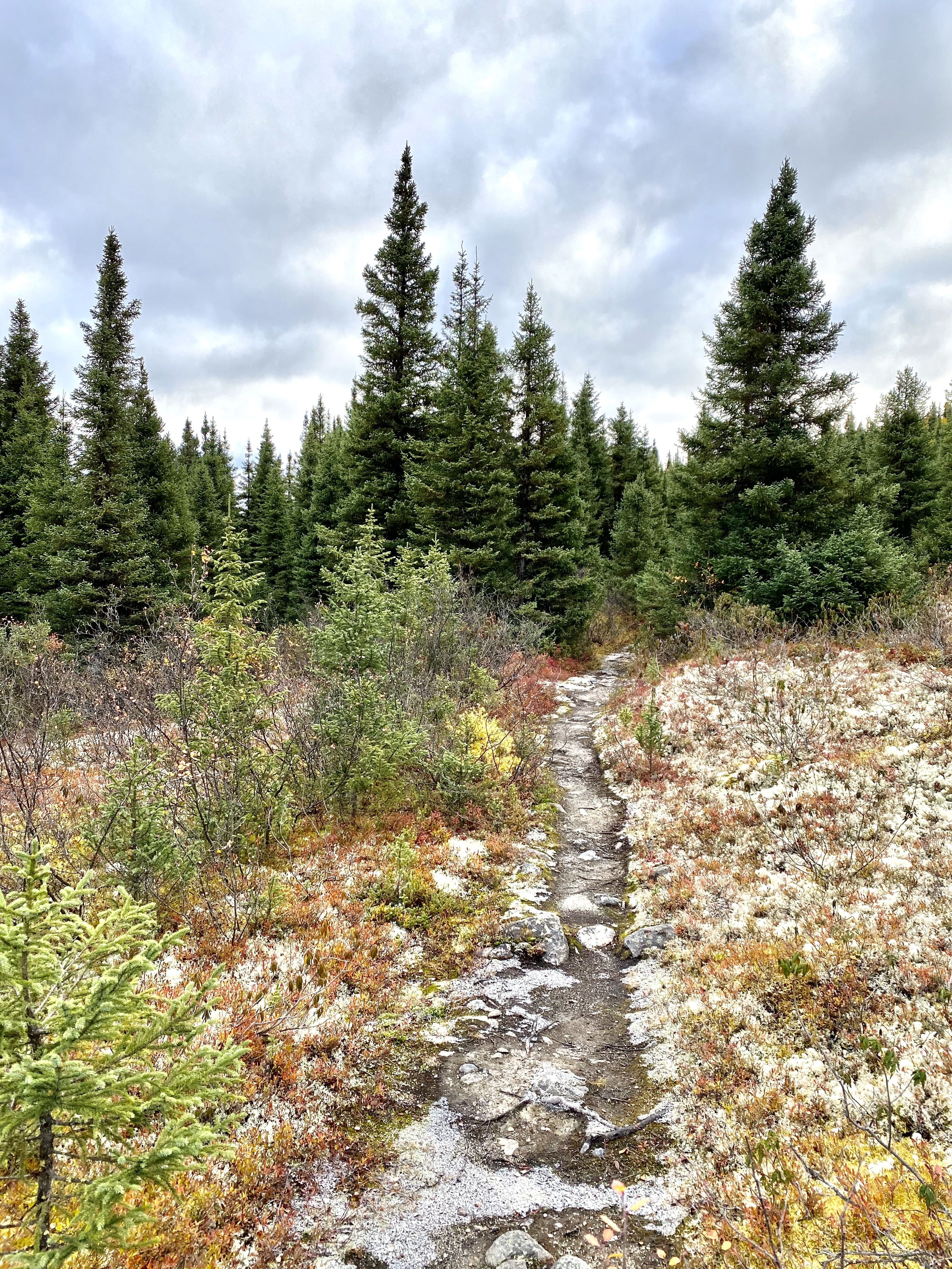 Cote_Nord_Road_trip_Expedition51