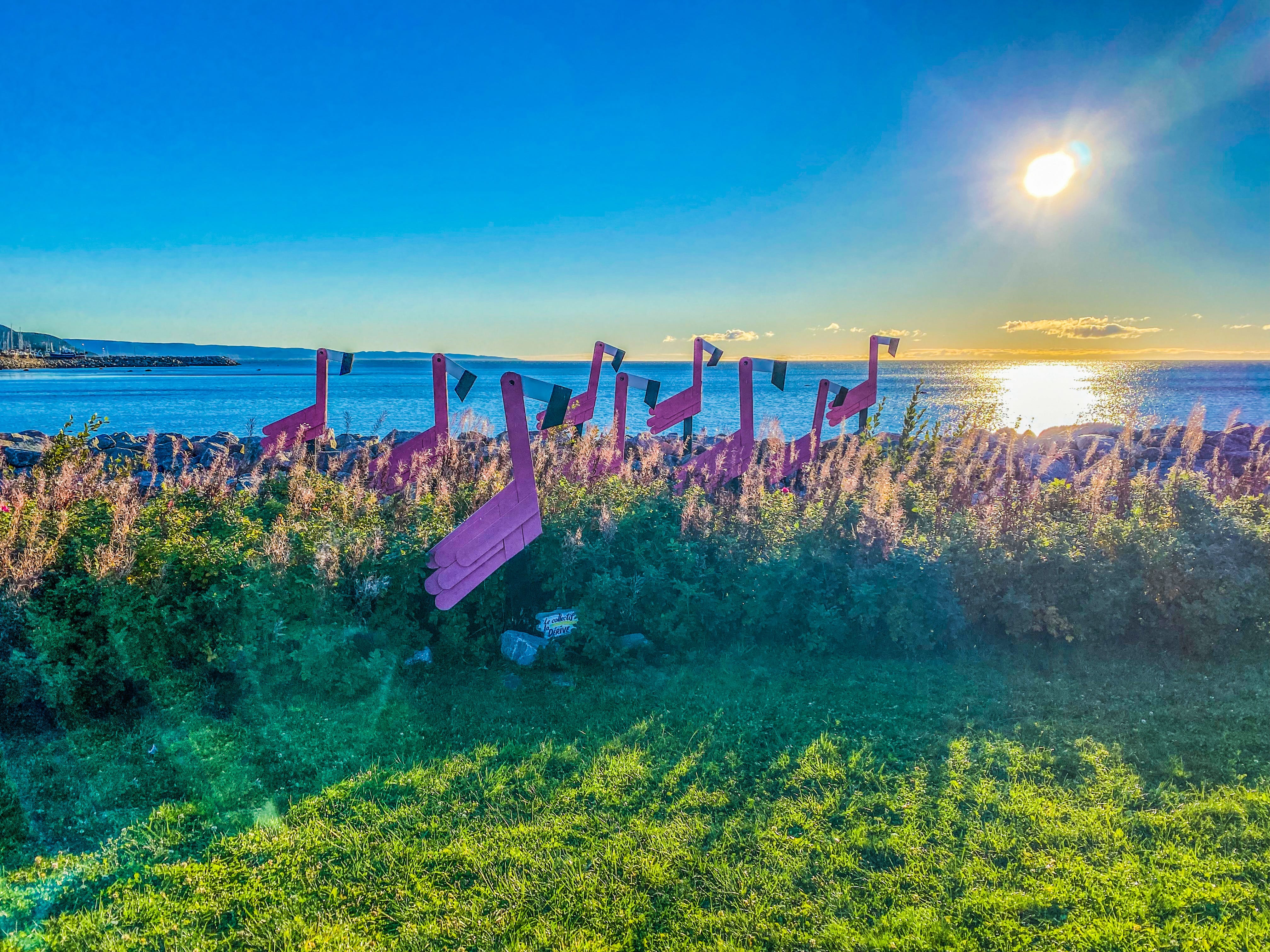 Cote_Nord_Labrador_Road_trip_Expedition51