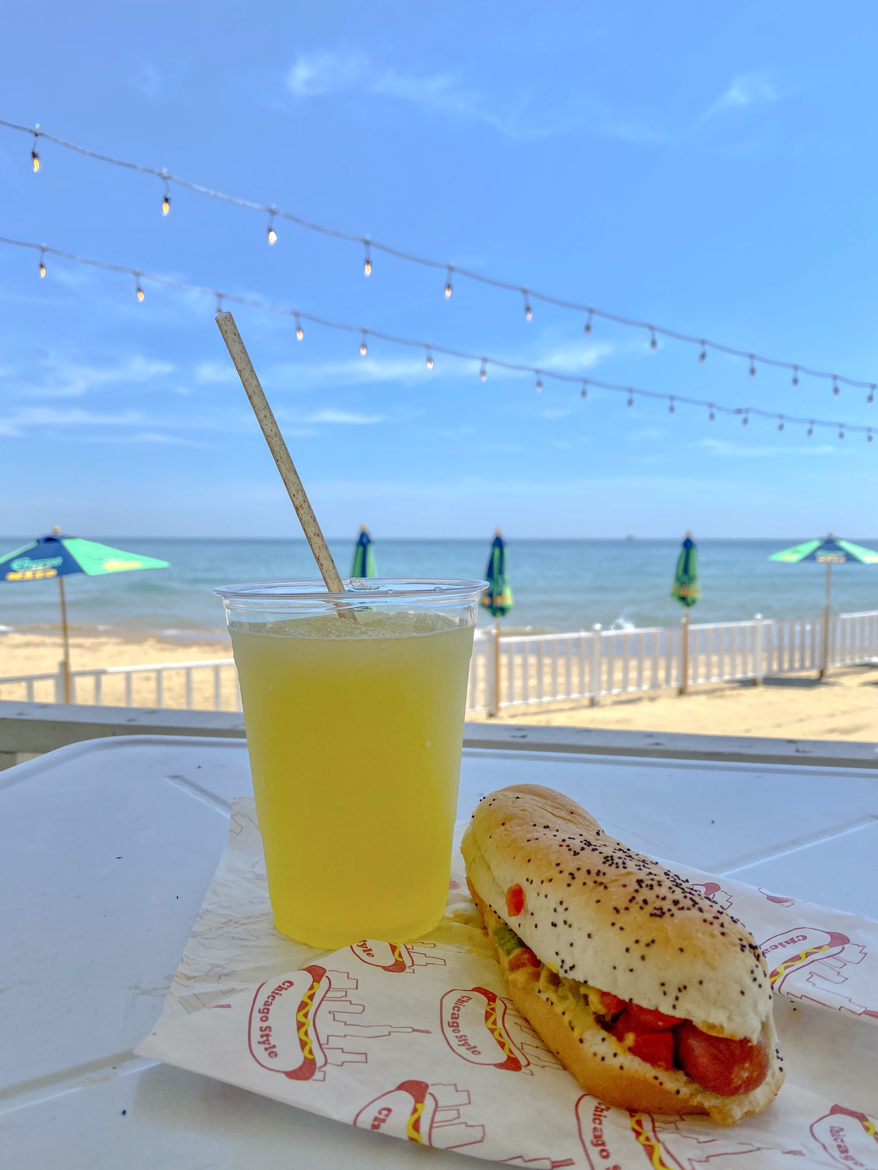 Chicago_USA_les_incontournables_quoi_faire_quoi_voir