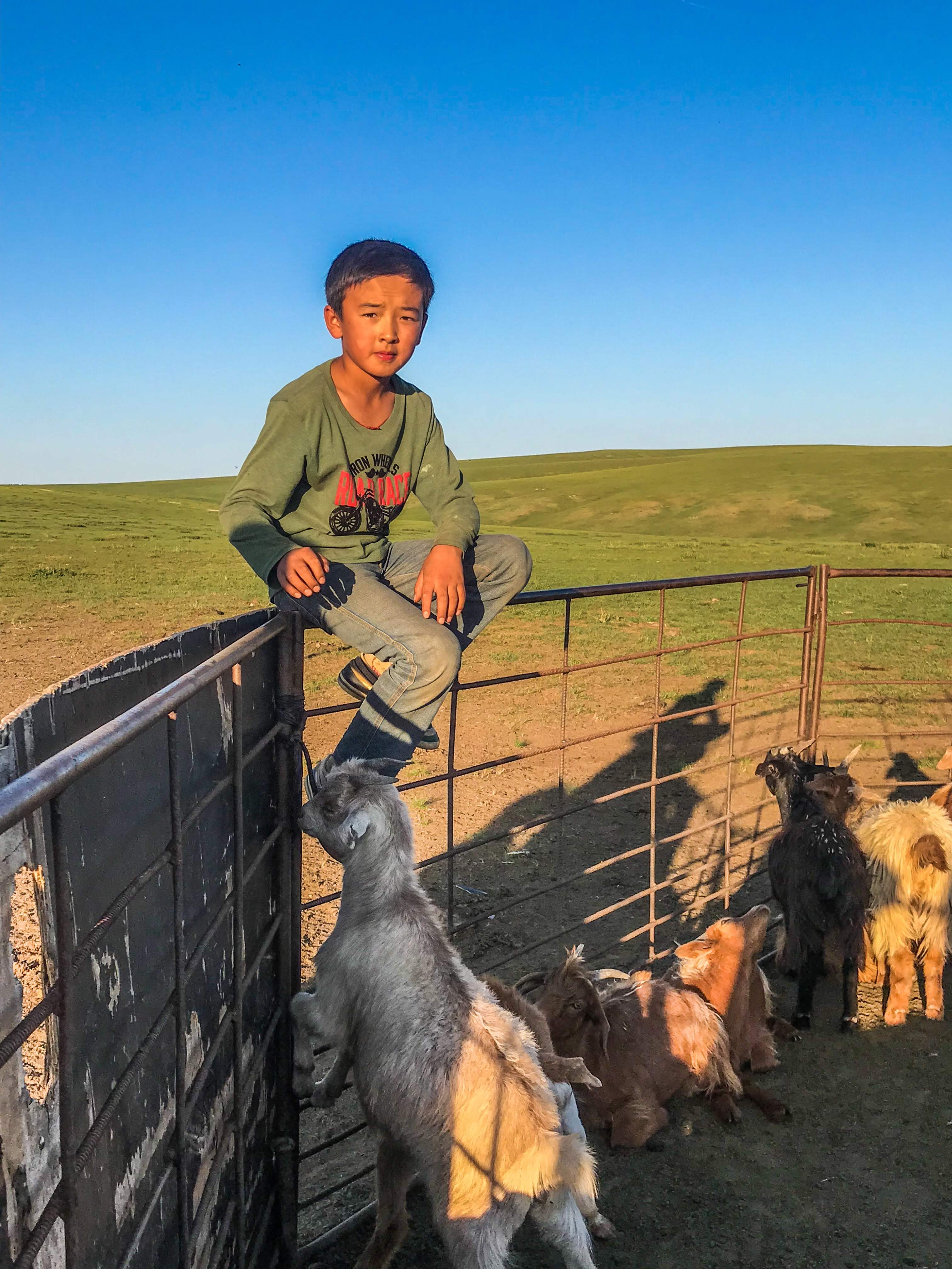 Voyage_en_Mongolie-Quoi_faire_Quoi-voir_incontournables