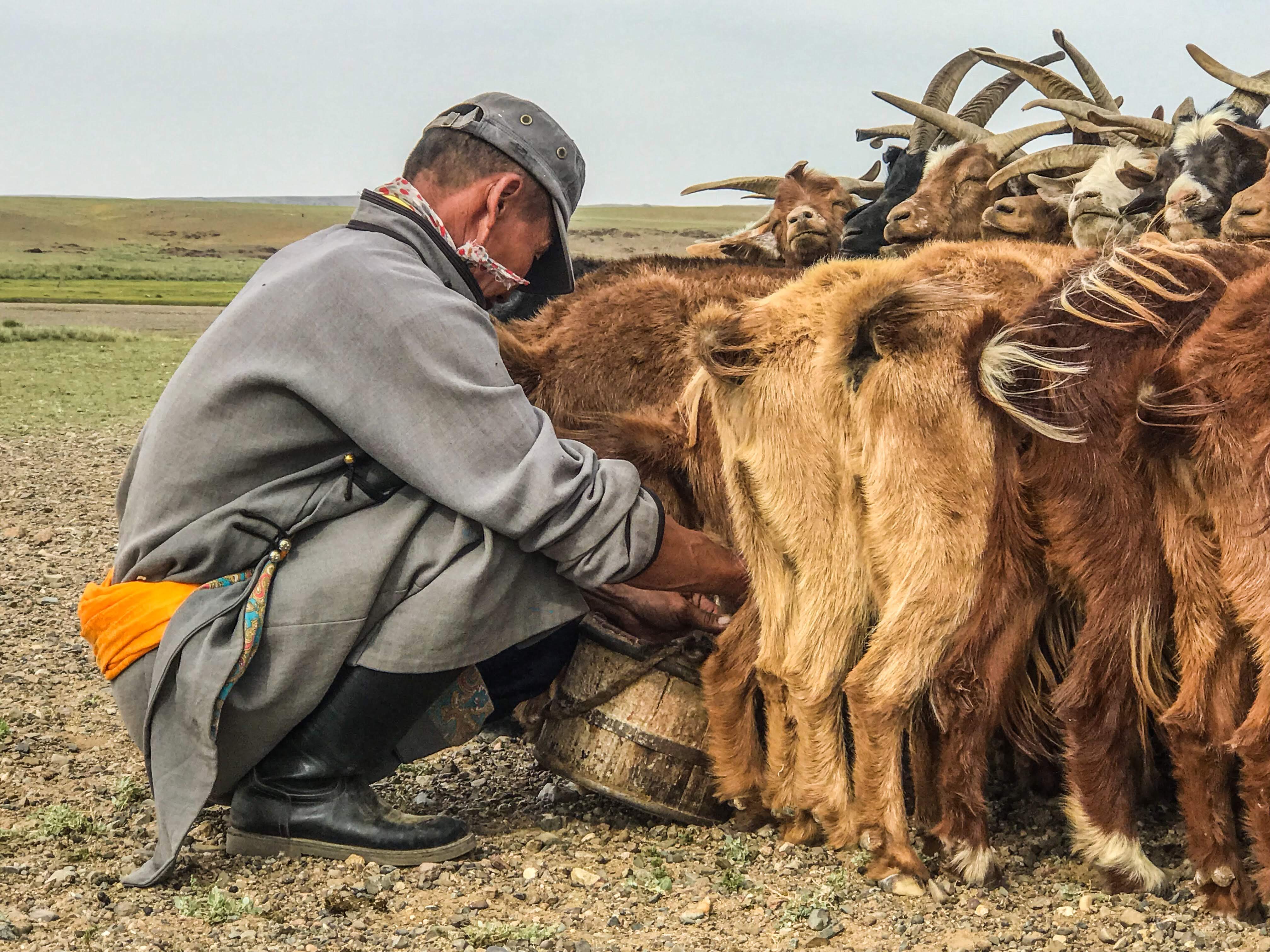 Voyage_en_Mongolie-Quoi_faire_Quoi-voir_incontournables