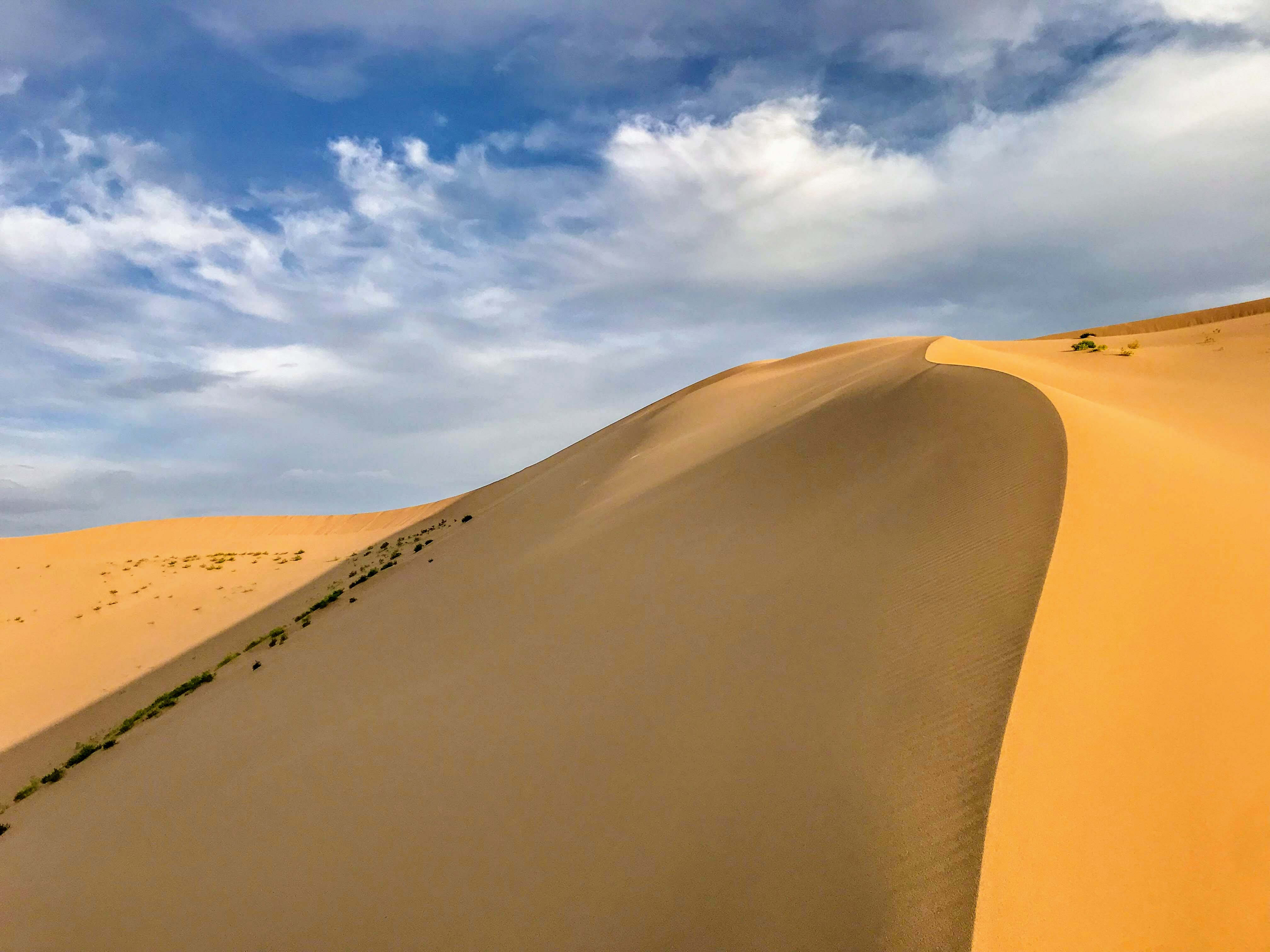 Voyage_en_Mongolie-Quoi_faire_Quoi-voir_incontournables