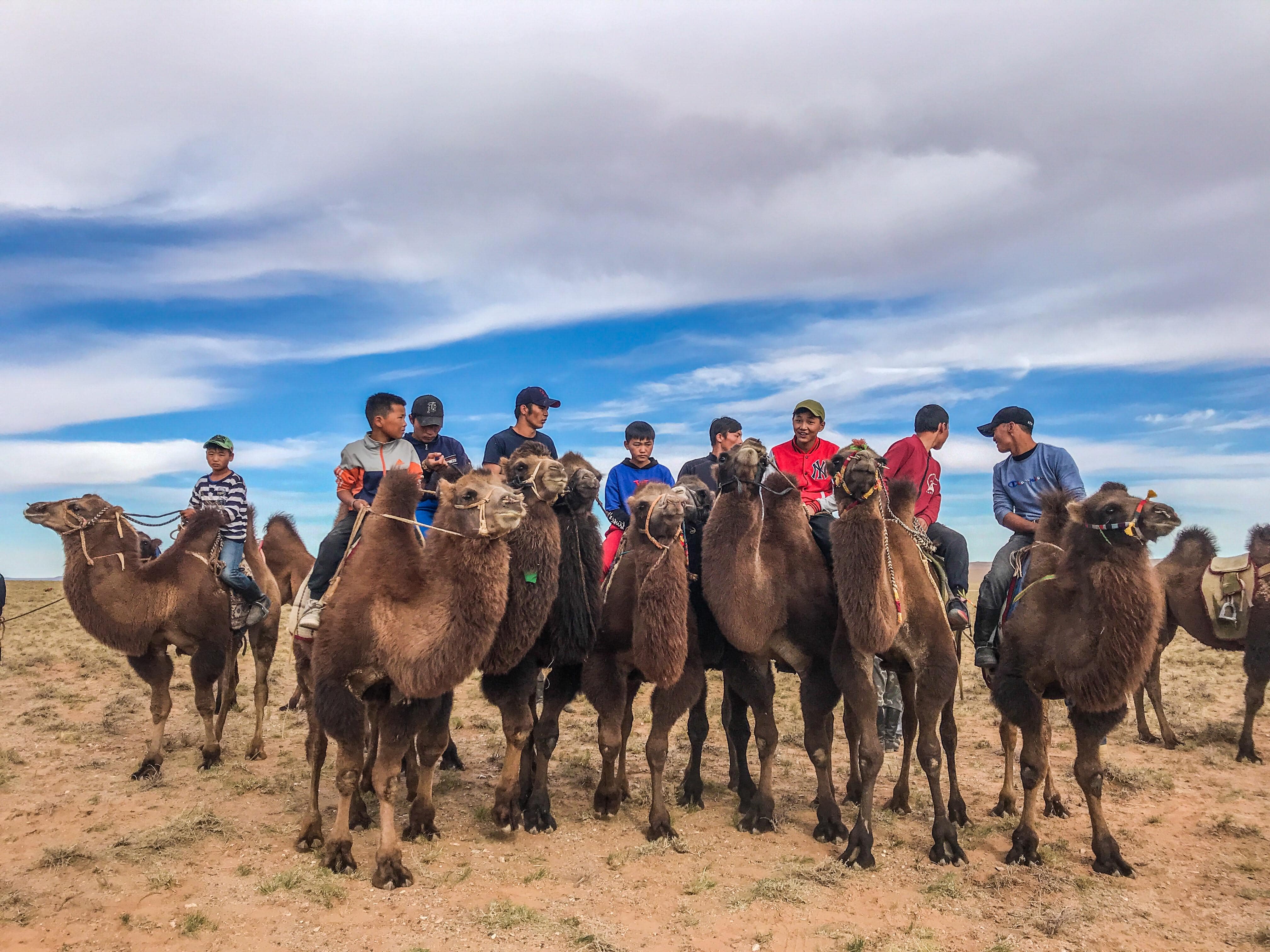 Voyage_en_Mongolie-Quoi_faire_Quoi-voir_incontournables