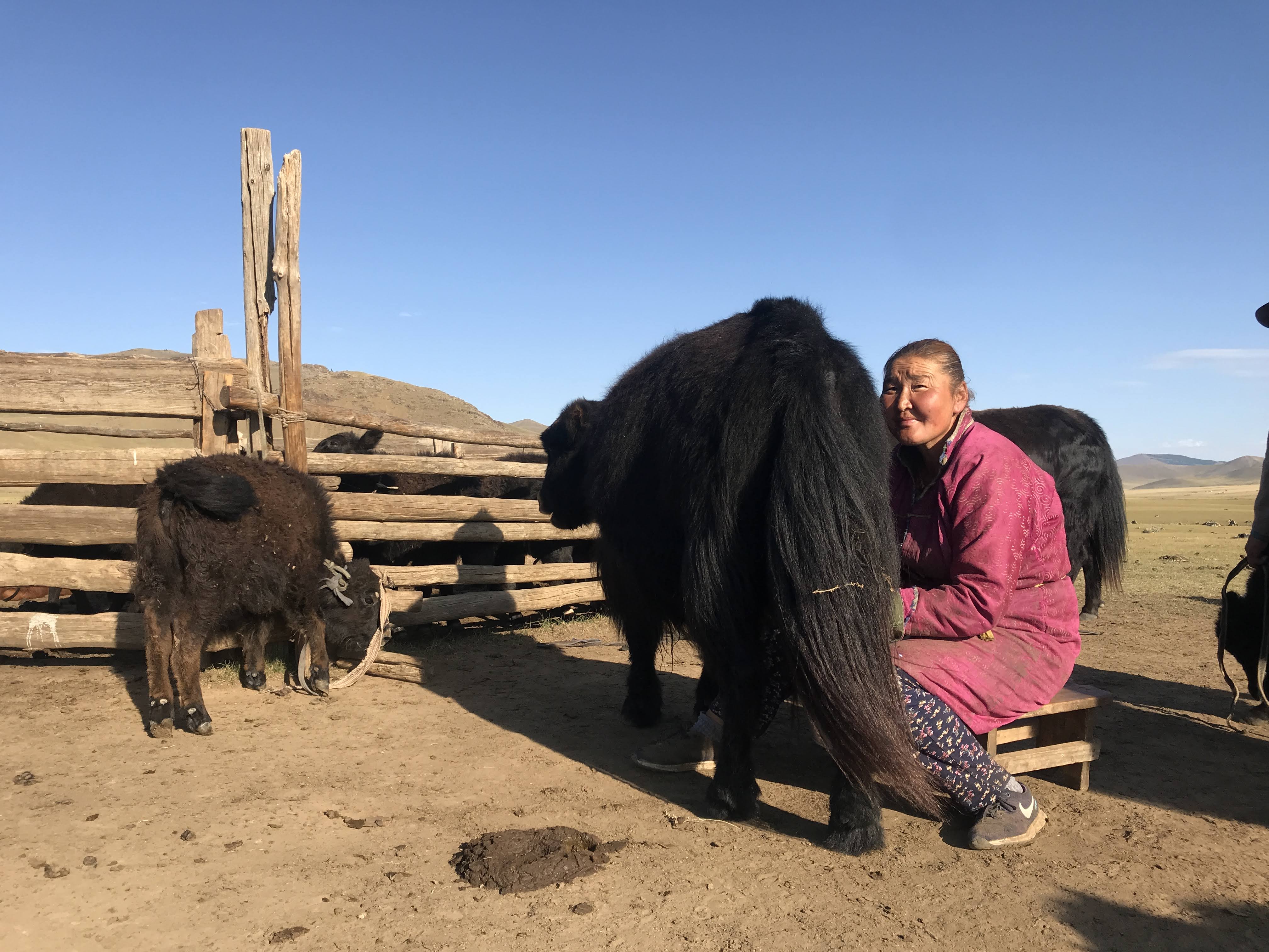Voyage_en_Mongolie-Quoi_faire_Quoi-voir_incontournables