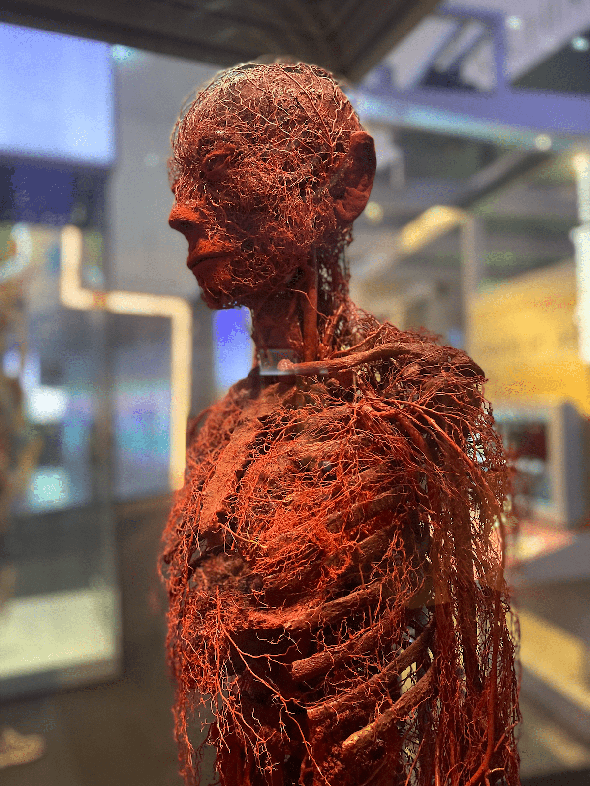 Chicago_USA_les_incontournables_quoi_faire_quoi_voir