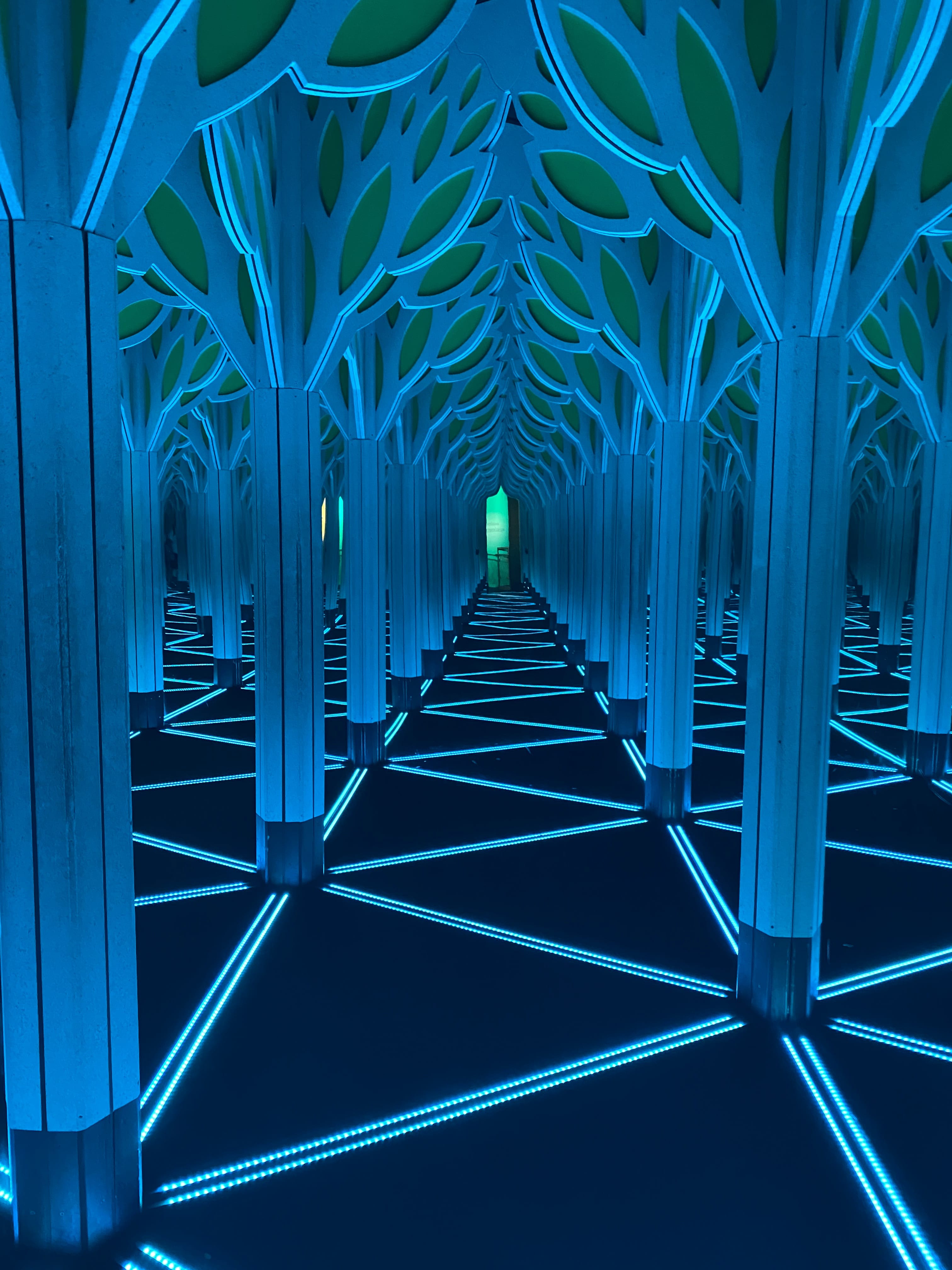 Chicago_USA_les_incontournables_quoi_faire_quoi_voir