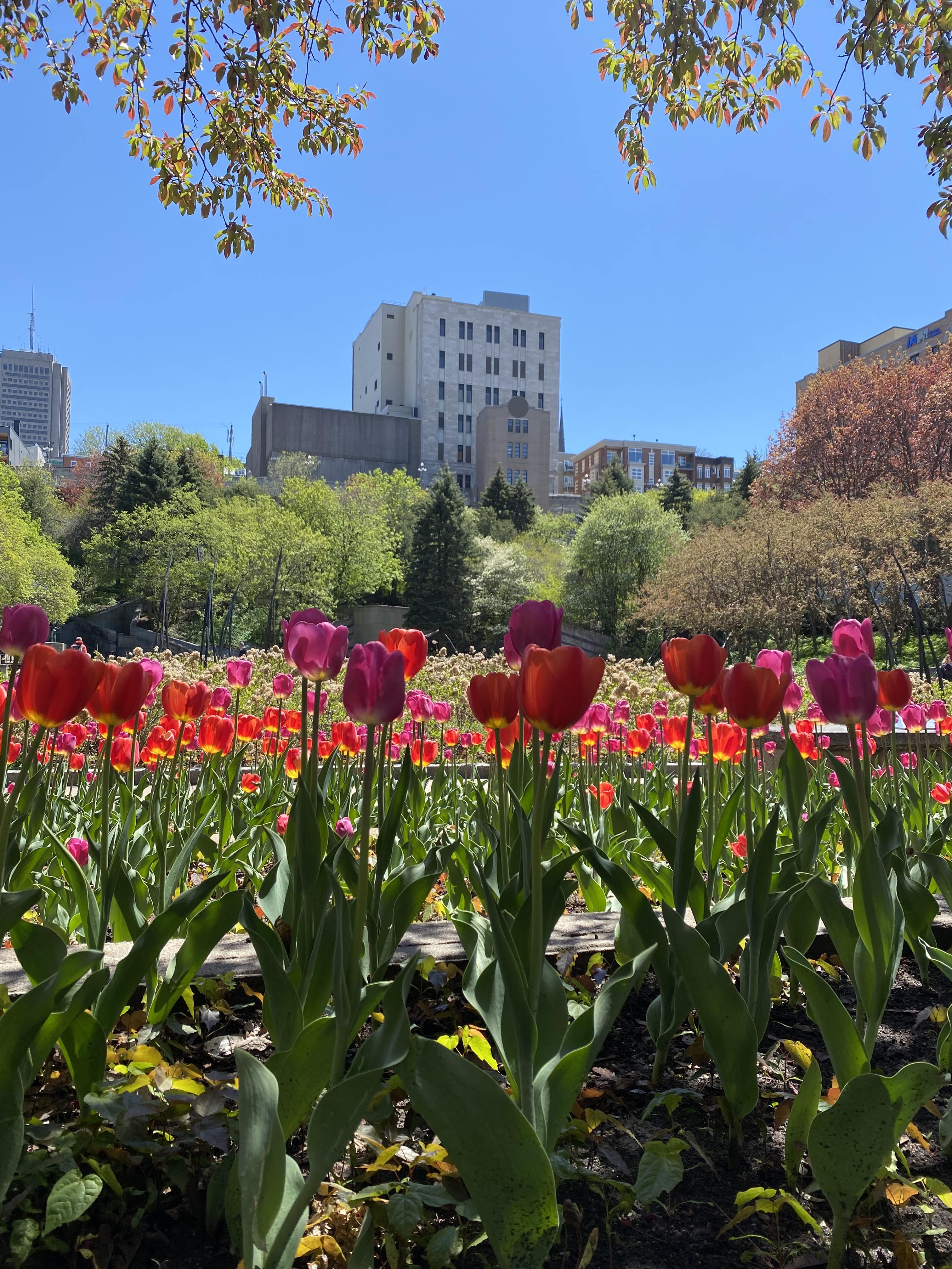 Québec_les_plus_beaux_spots_photos_Instagram