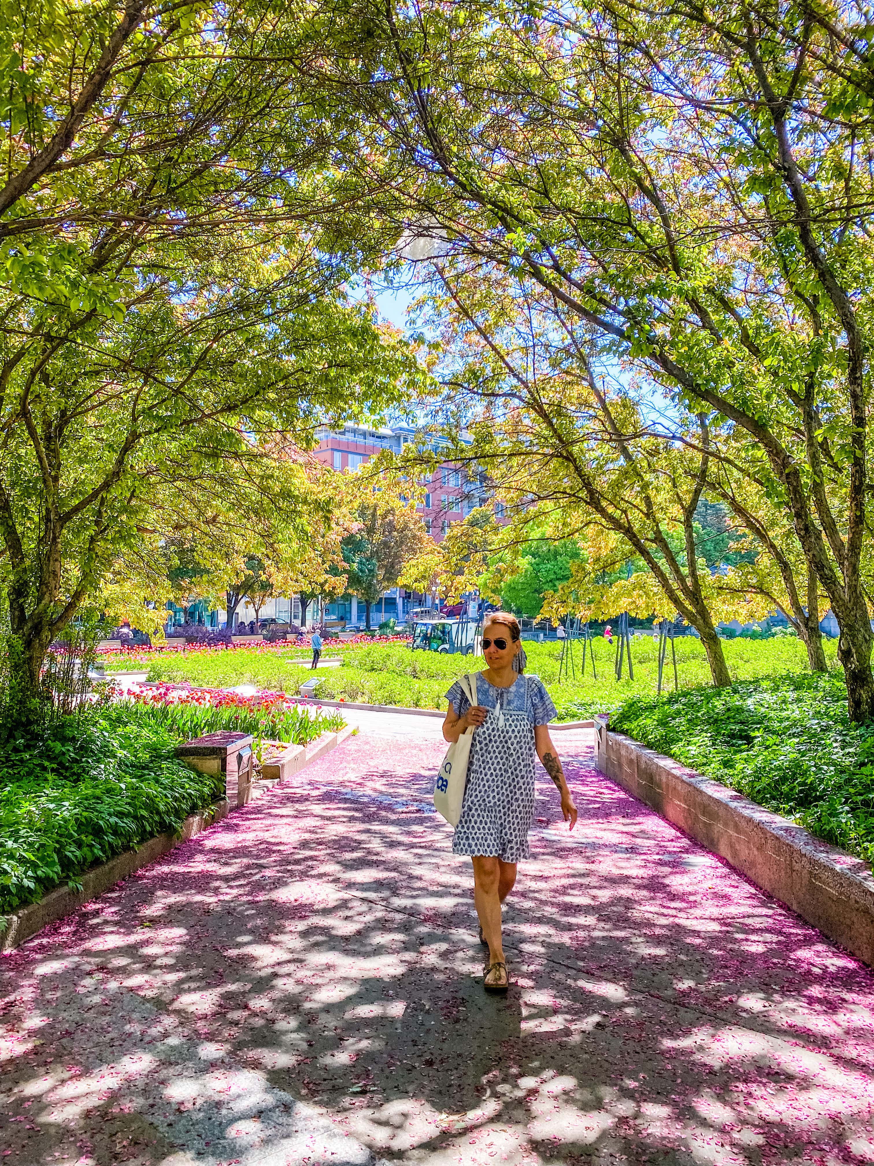 Québec_les_plus_beaux_spots_photos_Instagram