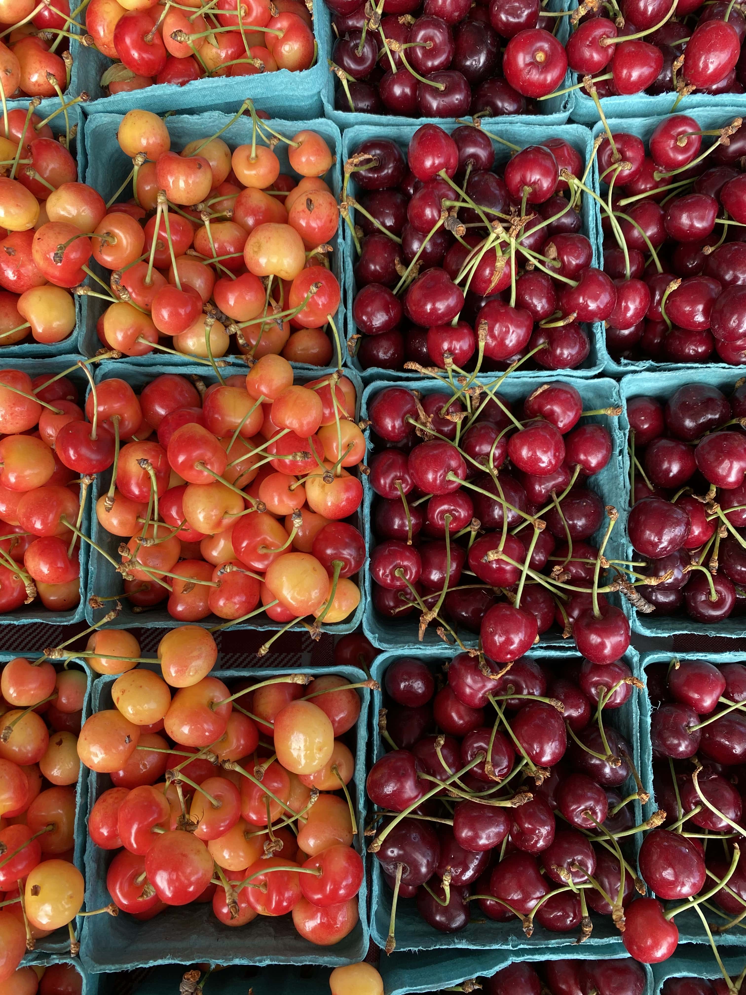 Chicago_USA_les_incontournables_quoi_faire_quoi_voir