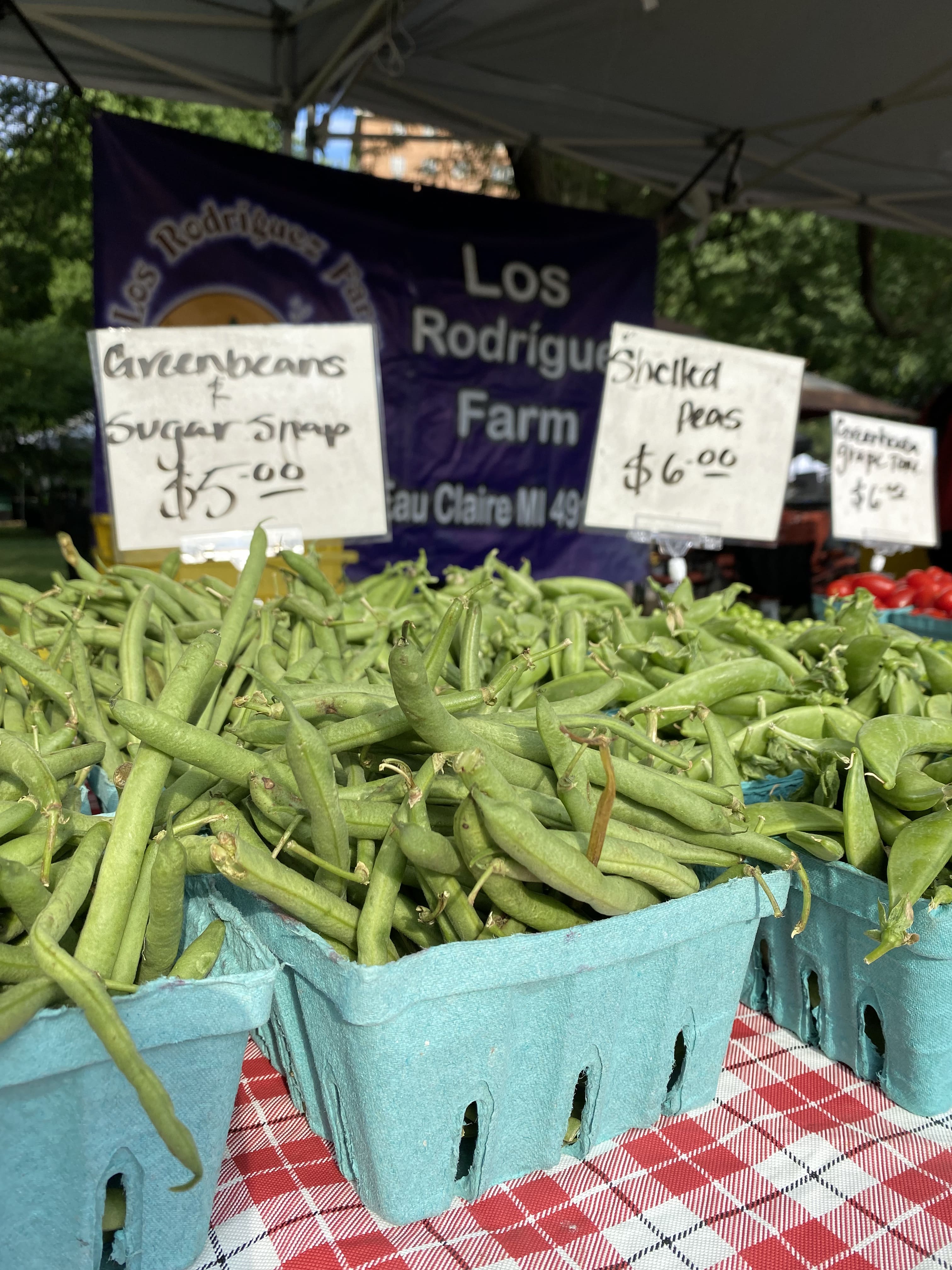 Chicago_USA_les_incontournables_quoi_faire_quoi_voir