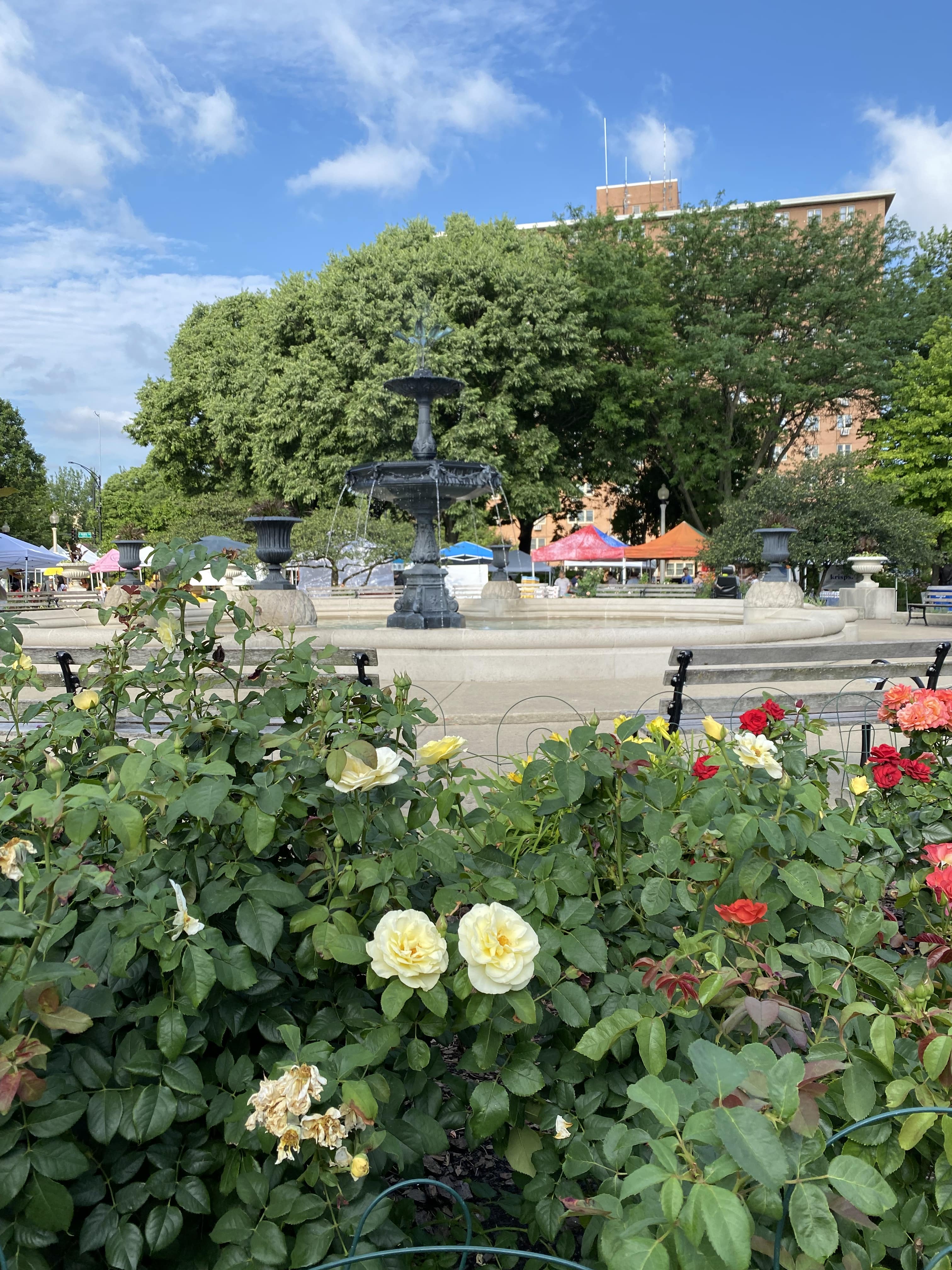 Chicago_USA_les_incontournables_quoi_faire_quoi_voir