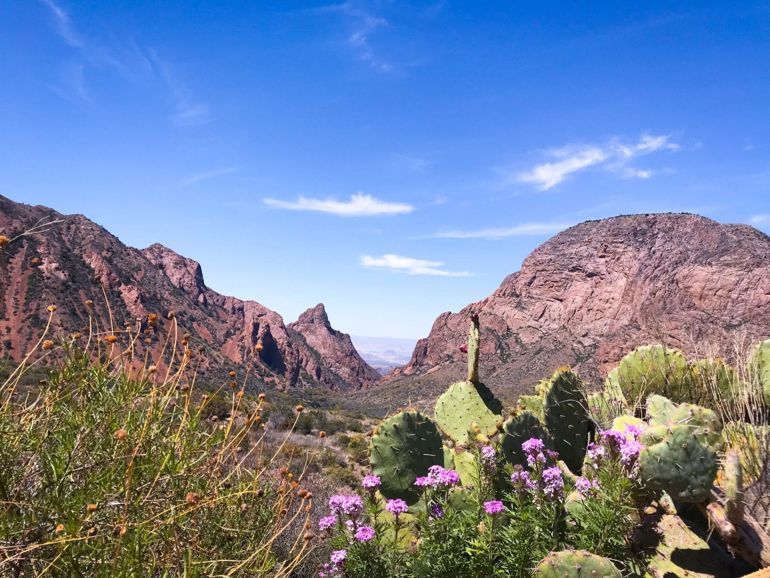 USA_5 parcs_nationaux_coups_de_cœur_road_trip