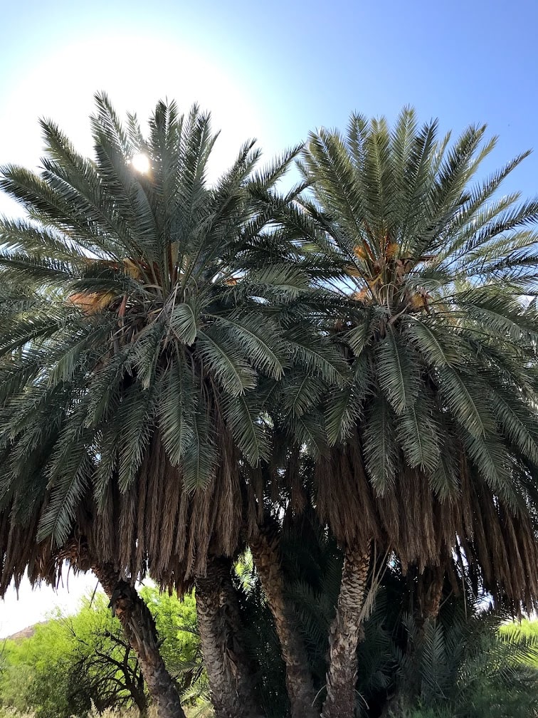 USA_5 parcs_nationaux_coups_de_cœur_road_trip