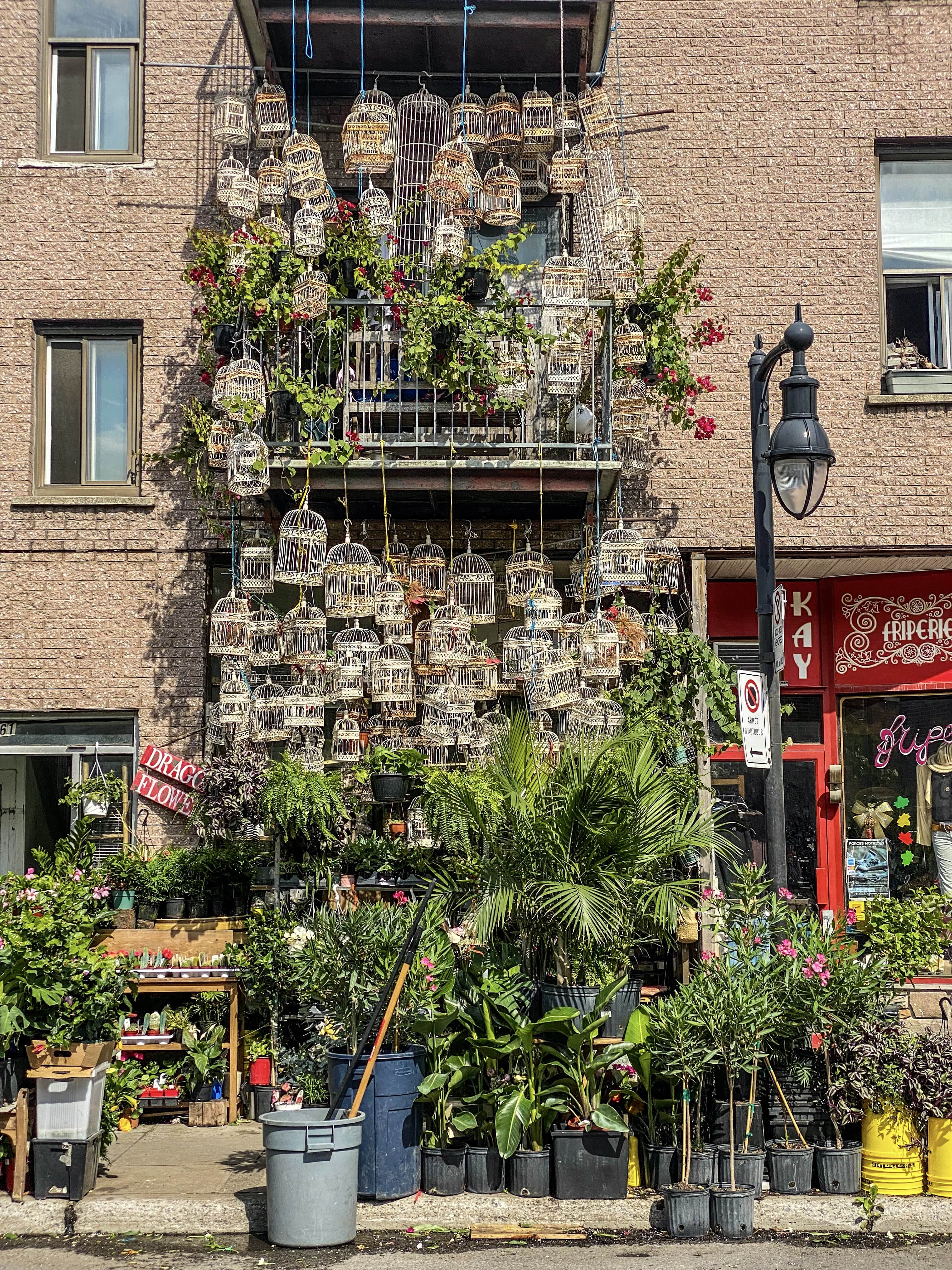 Montreal_les_plus_beaux_spots_photos_incontournables