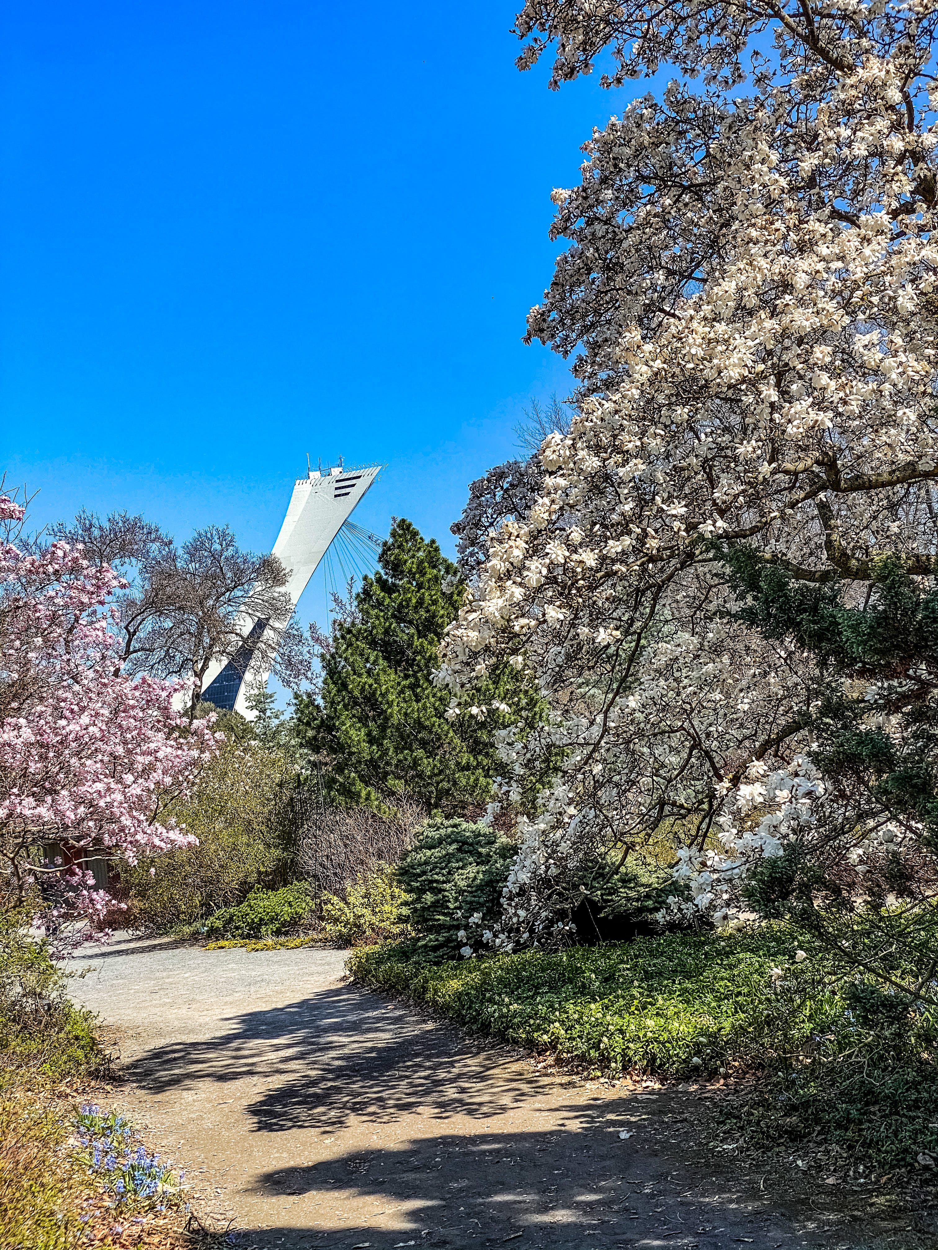 Montreal_les_plus_beaux_spots_photos_incontournables