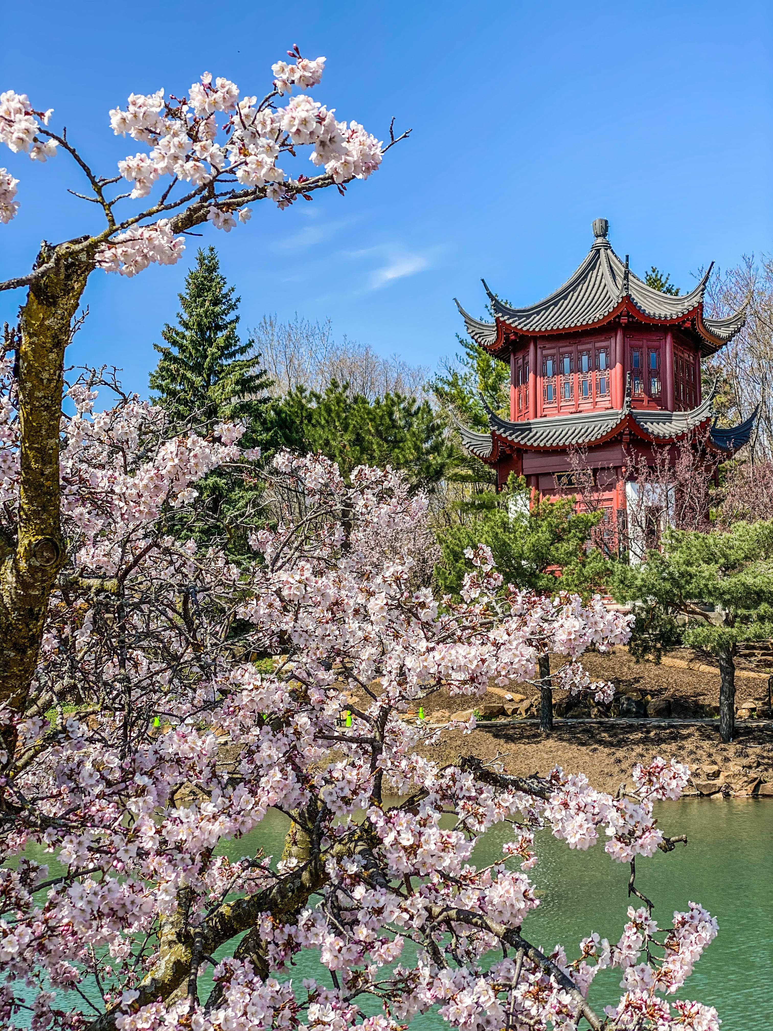 Montreal_les_plus_beaux_spots_photos_incontournables