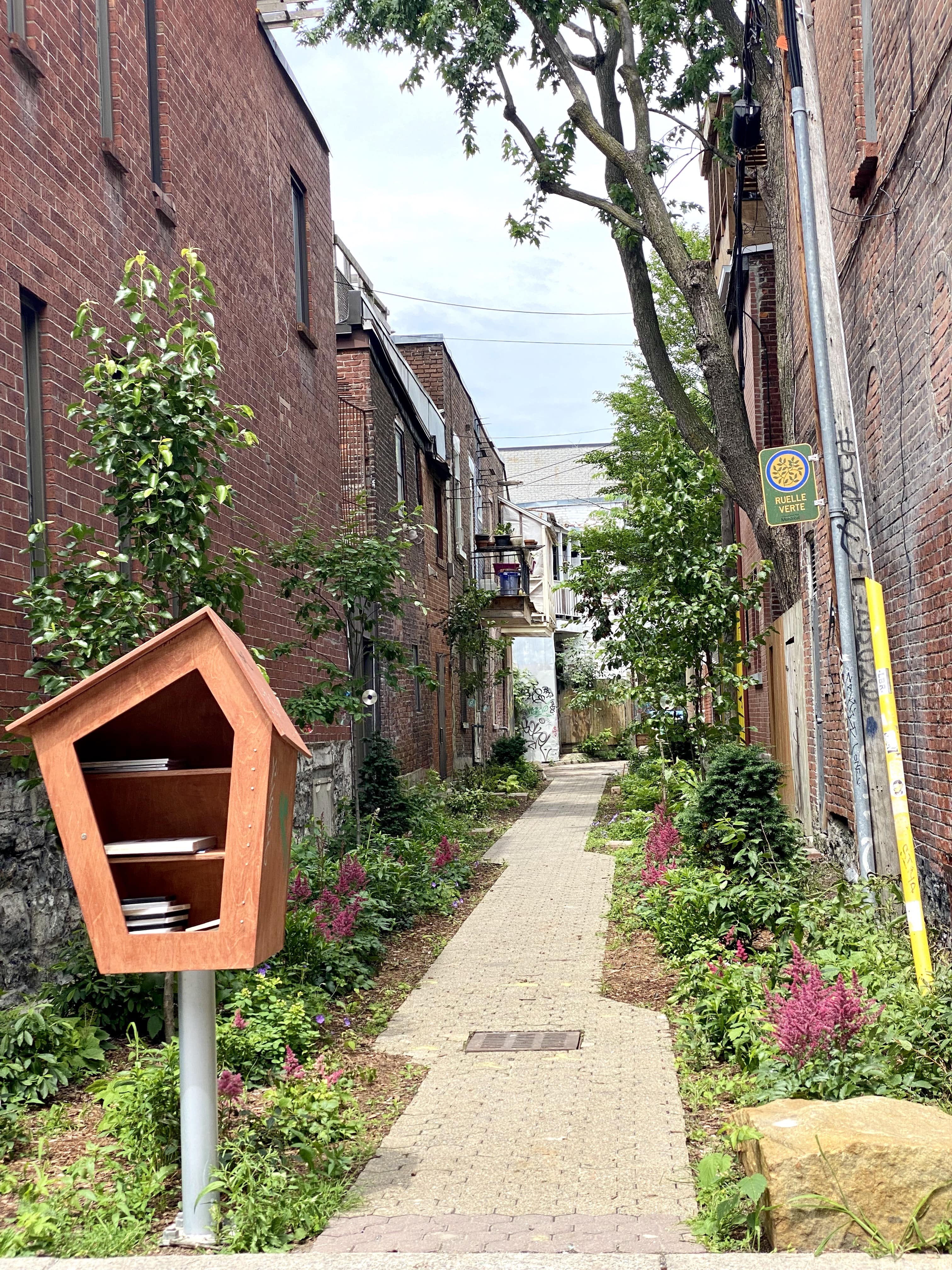 Montreal_les_plus_beaux_spots_photos_incontournables