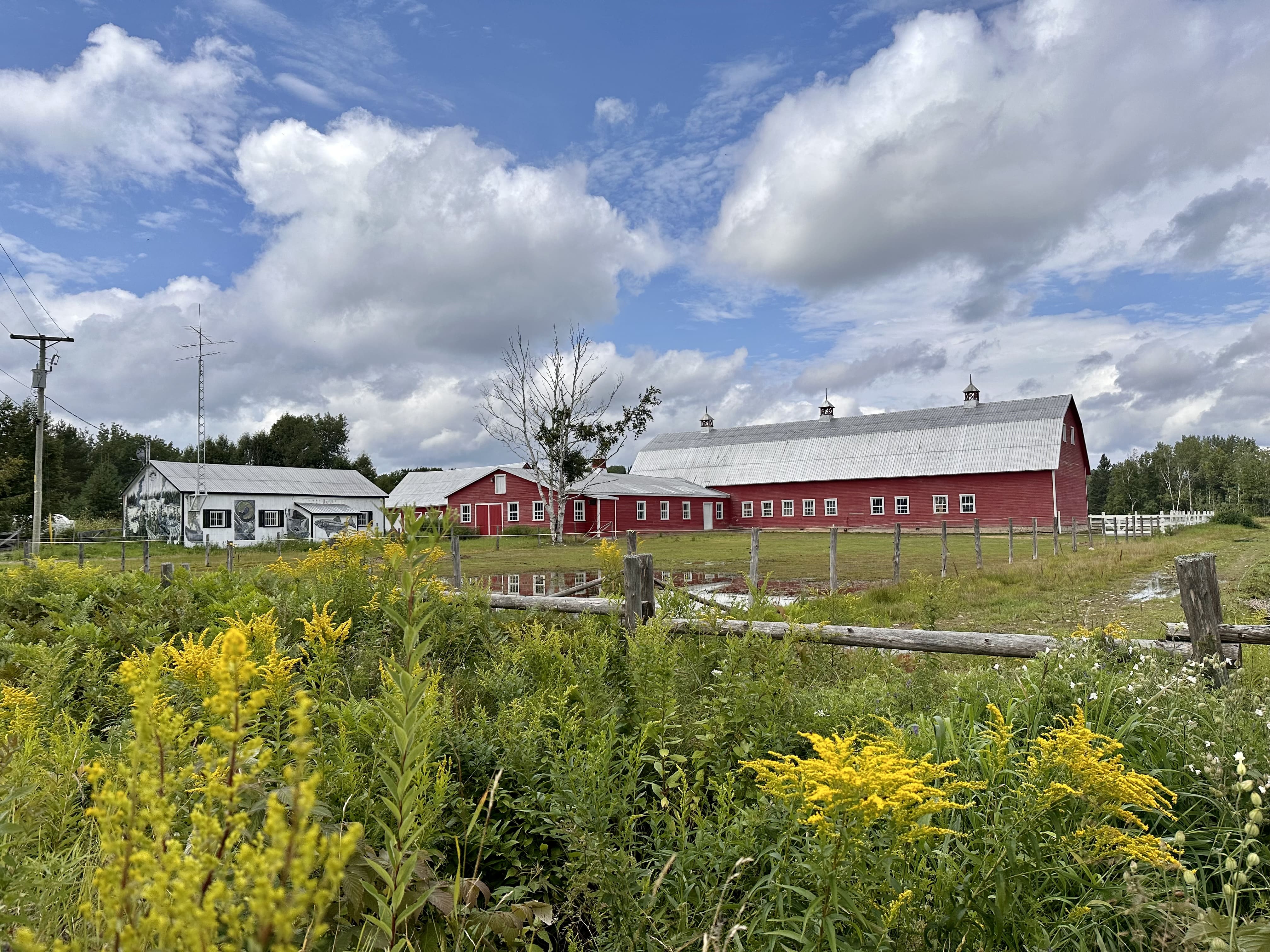 Escapade_en_Haute_Mauricie_destination_découverte