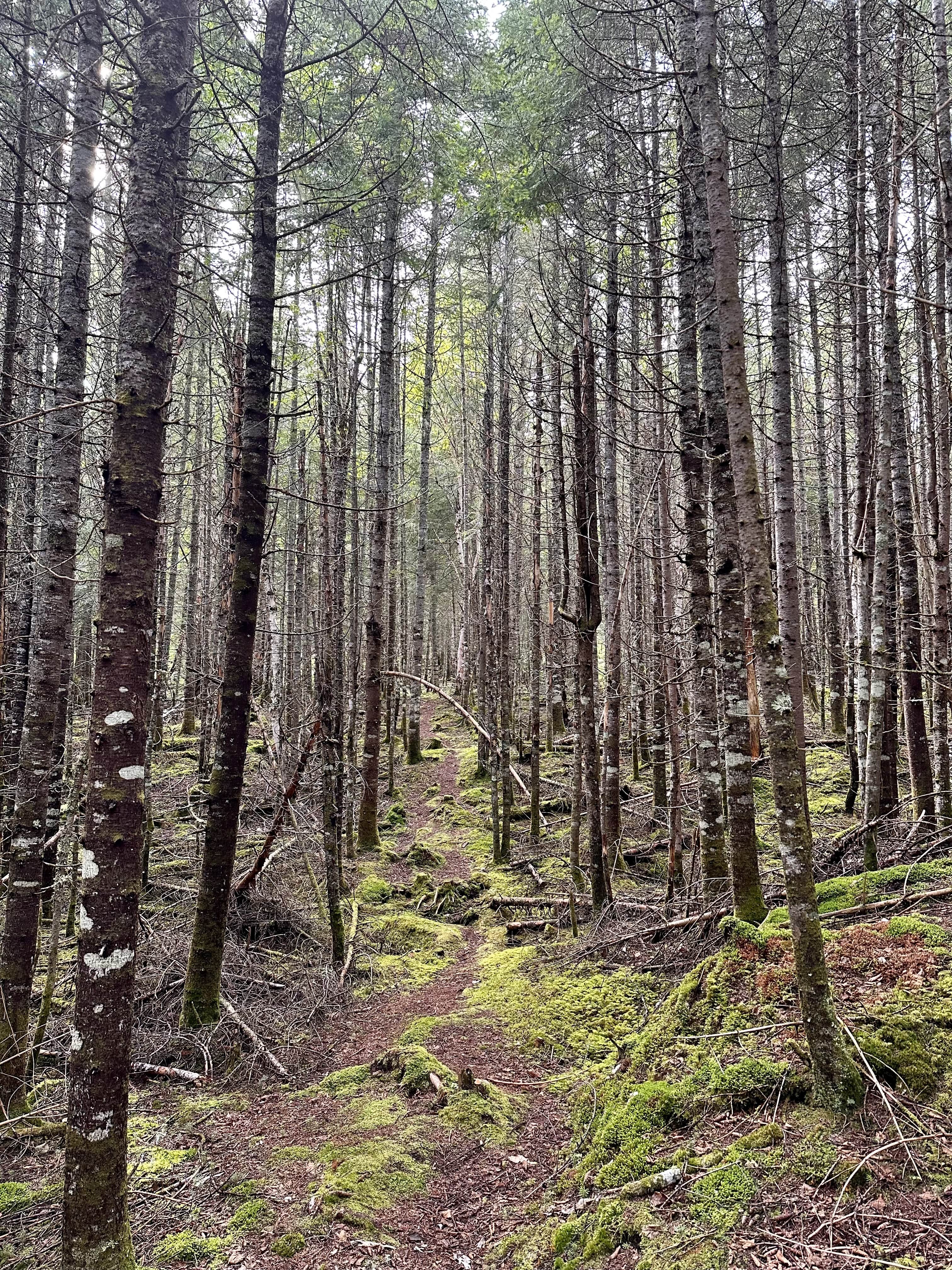 Escapade_en_Haute_Mauricie_destination_découverte