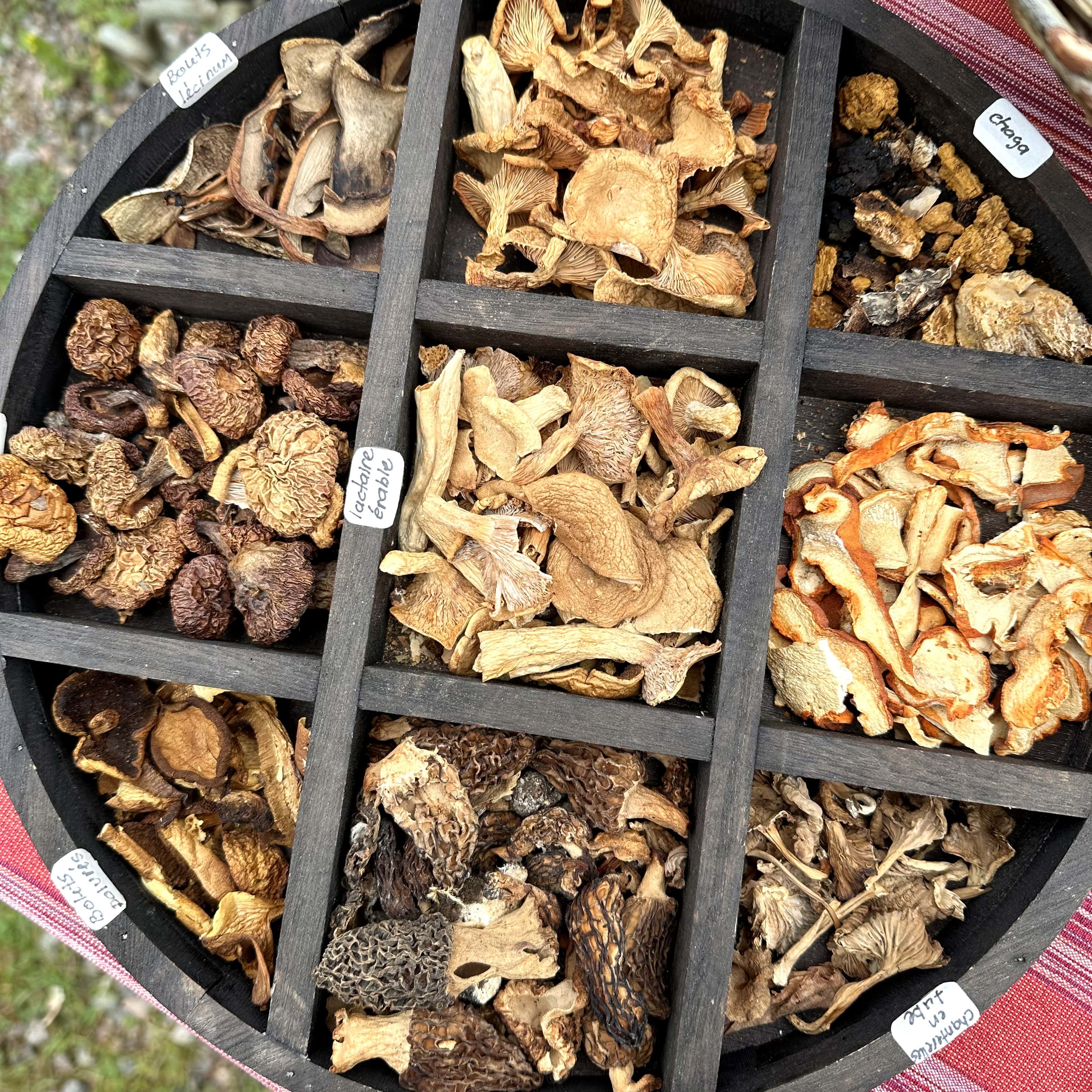 Escapade_en_Haute_Mauricie_destination_découverte