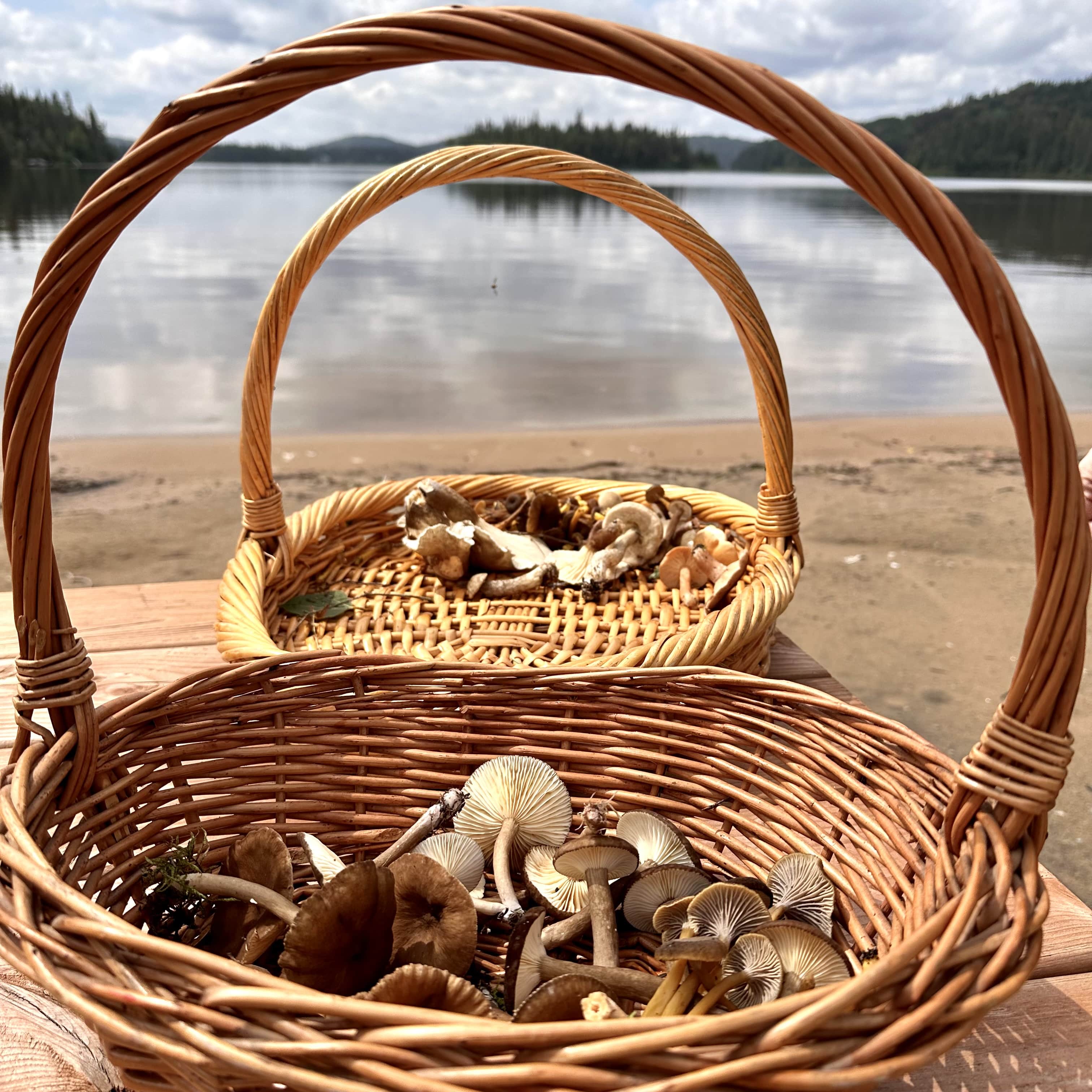 Escapade_en_Haute_Mauricie_destination_découverte