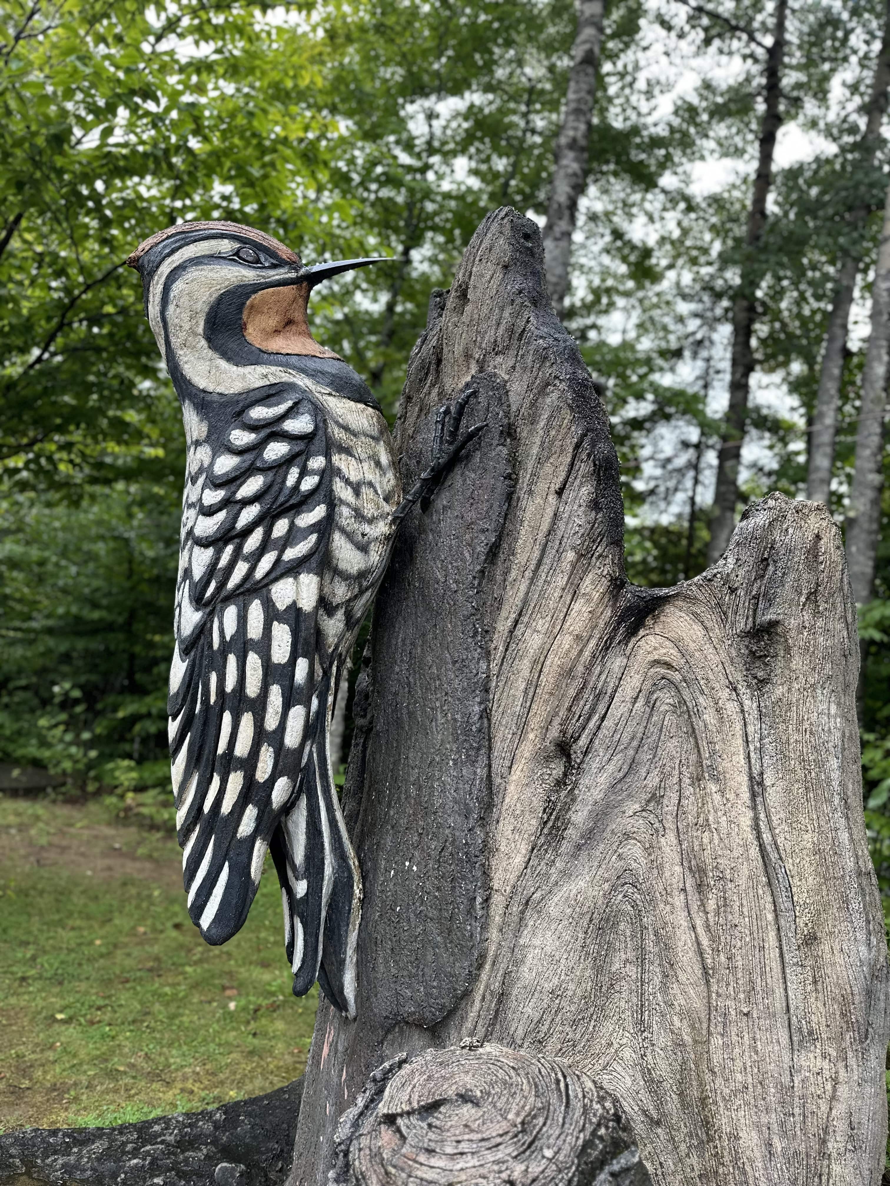 Escapade_decouverte_sur_la_cote_de_Beaupré_Incontournables