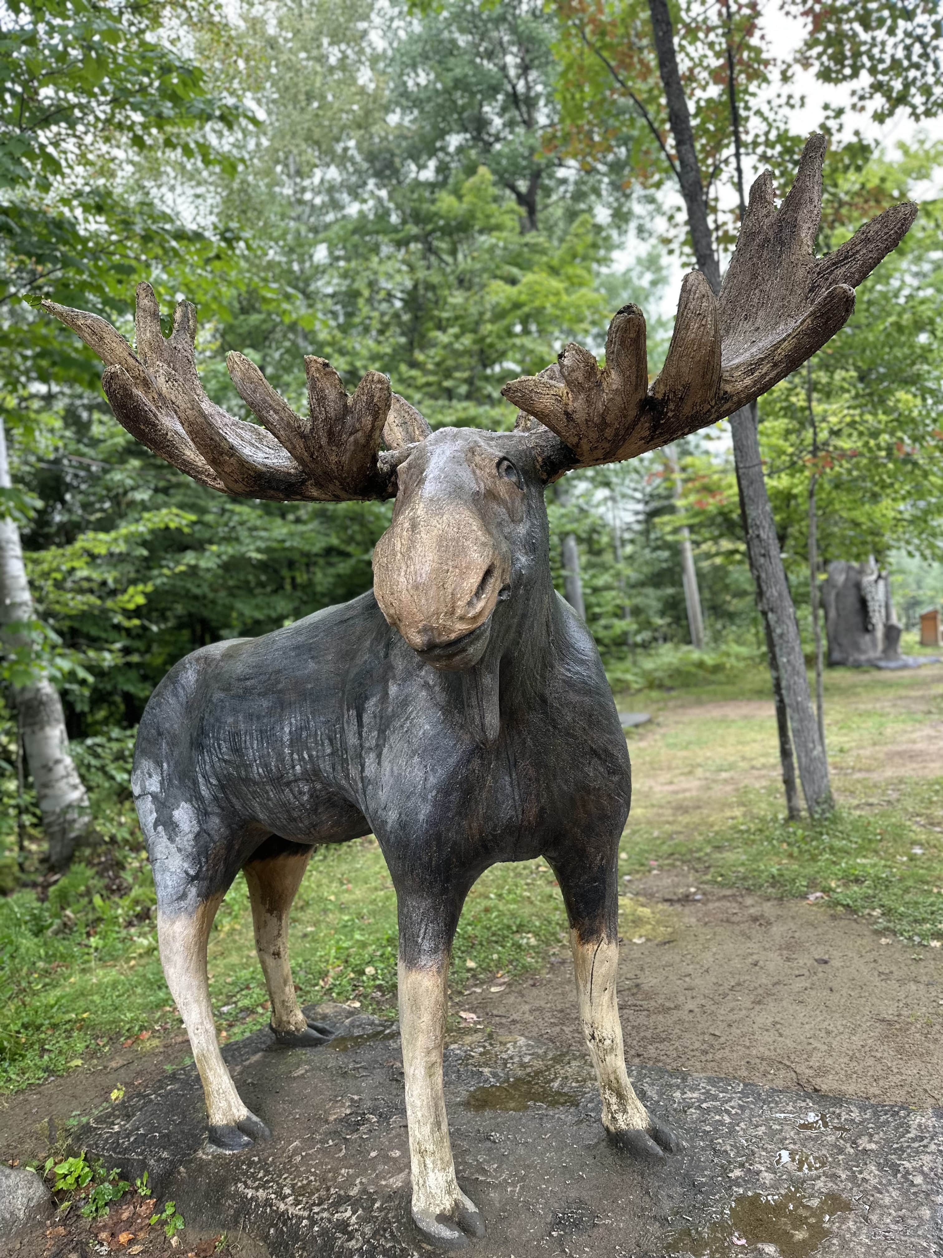 Escapade_decouverte_sur_la_cote_de_Beaupré_Incontournables