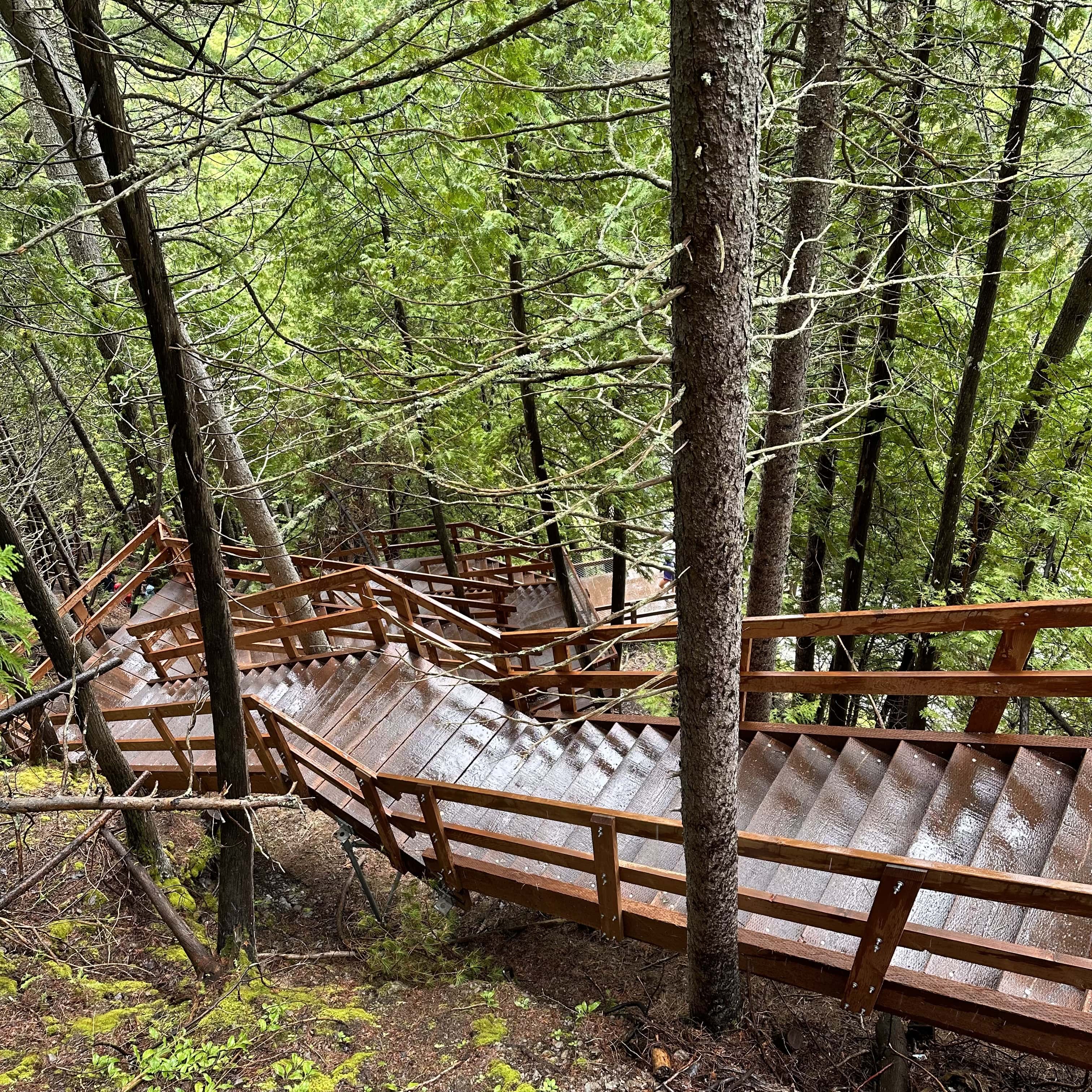 Escapade_decouverte_sur_la_cote_de_Beaupré_Incontournables