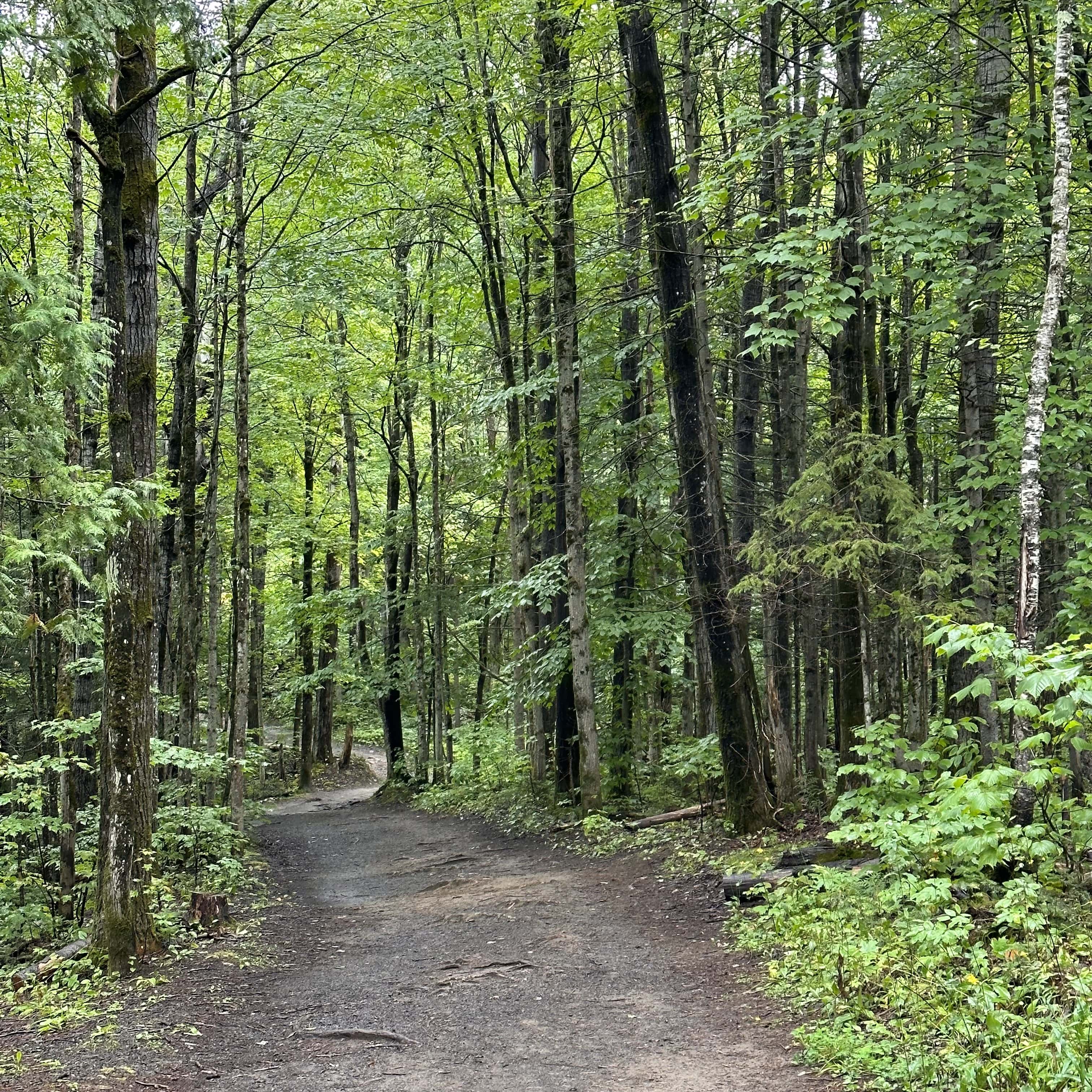 Escapade_decouverte_sur_la_cote_de_Beaupré_Incontournables