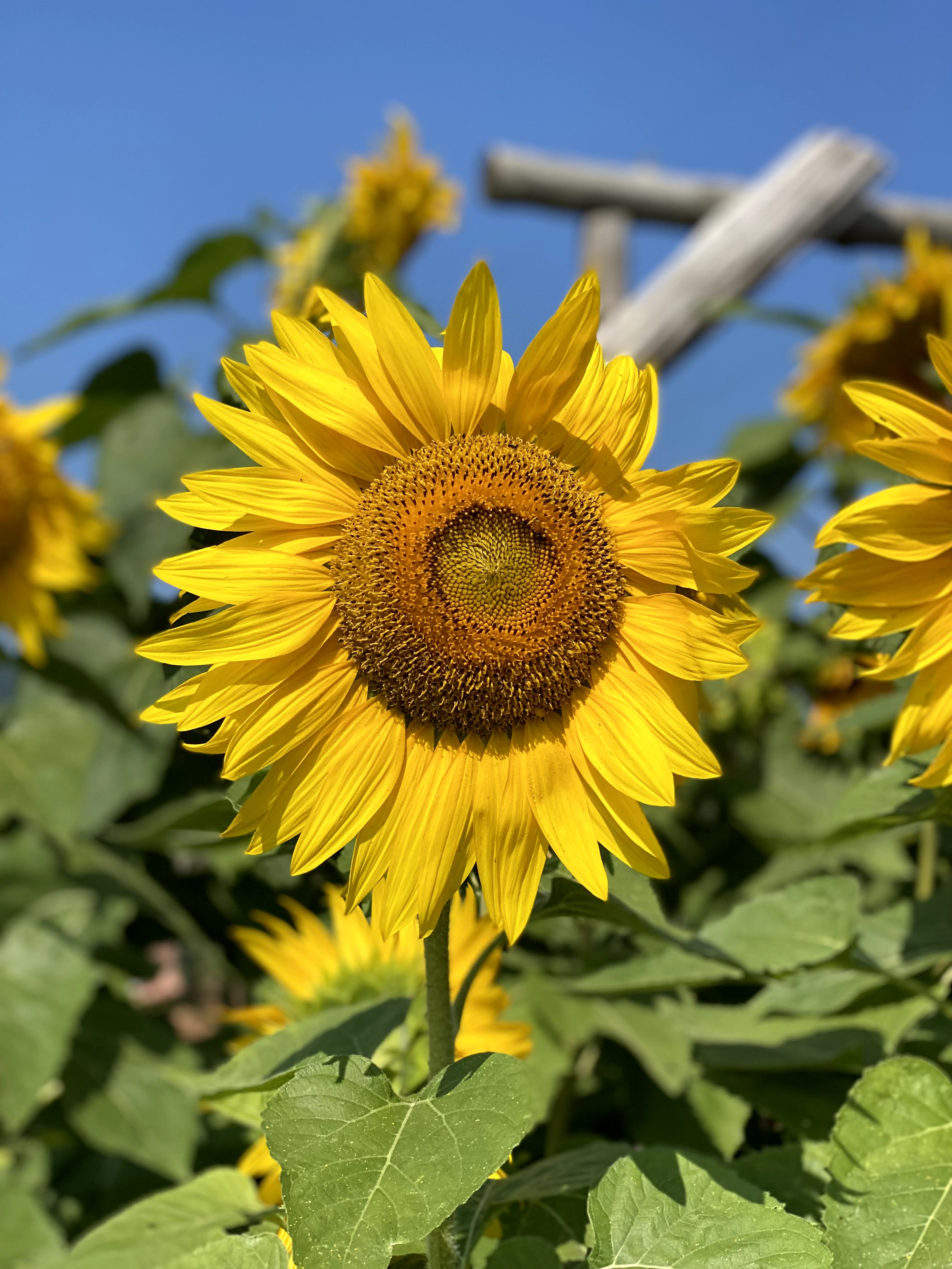 Escapade_decouverte_sur_la_cote_de_Beaupré_Incontournables