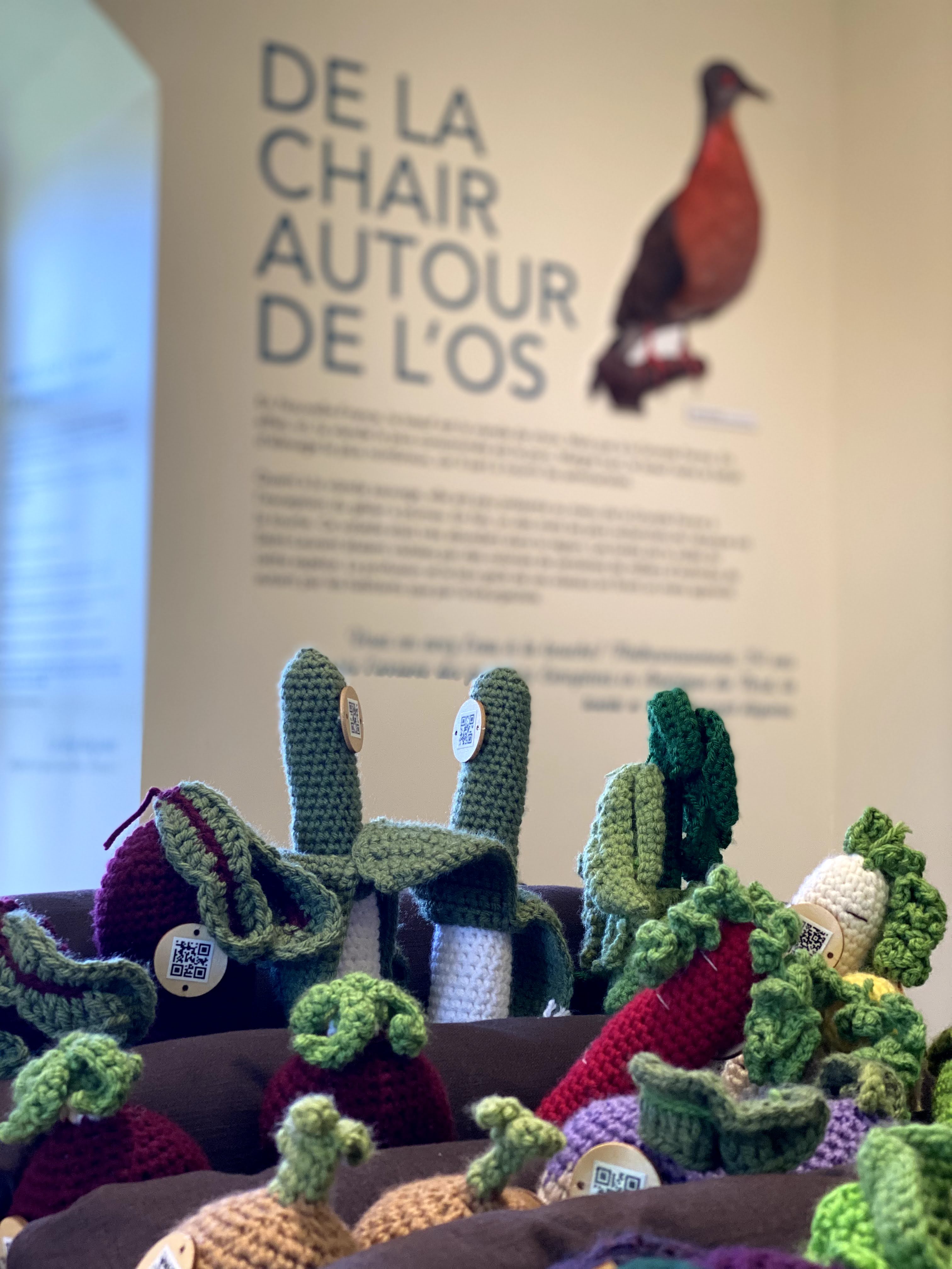 Escapade_decouverte_sur_la_cote_de_Beaupré_Incontournables