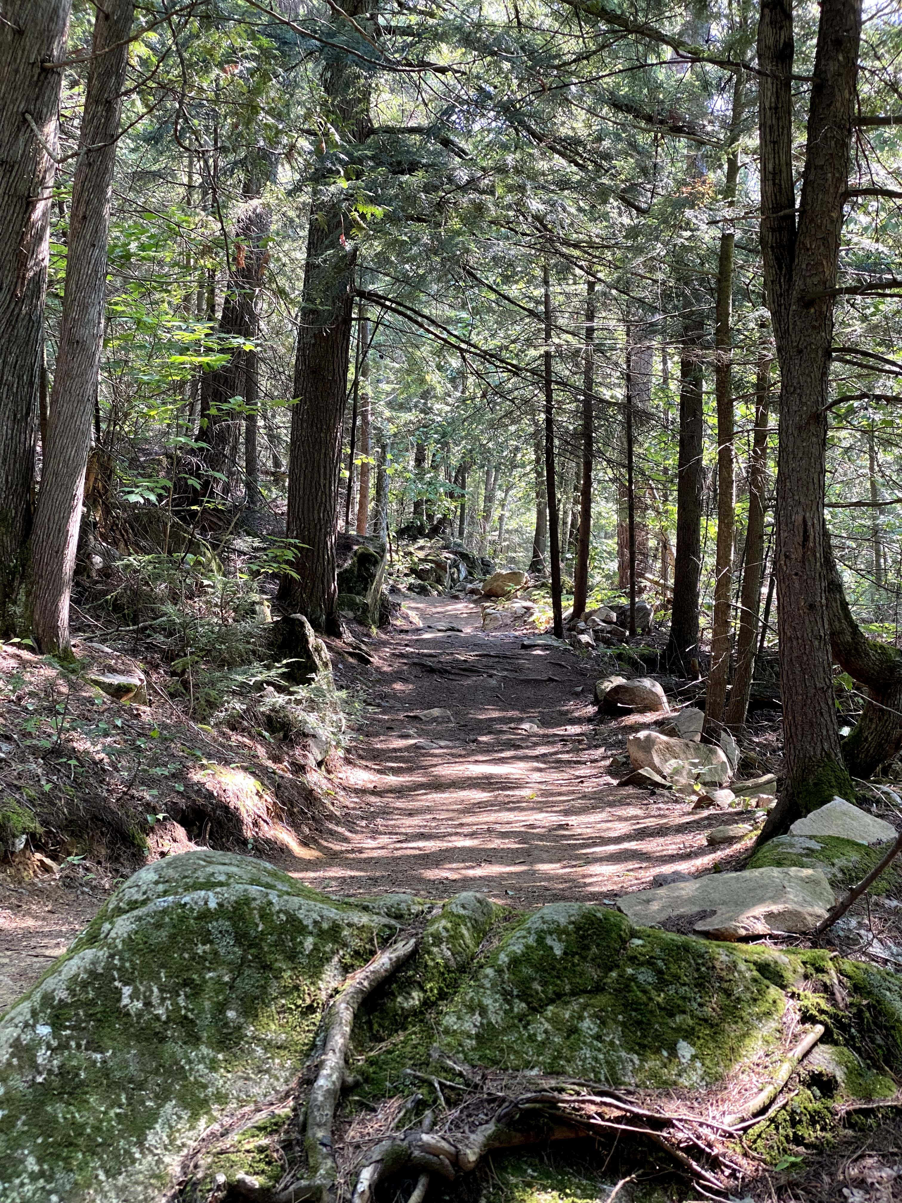 Escapade_decouverte_sur_la_cote_de_Beaupré_Incontournables