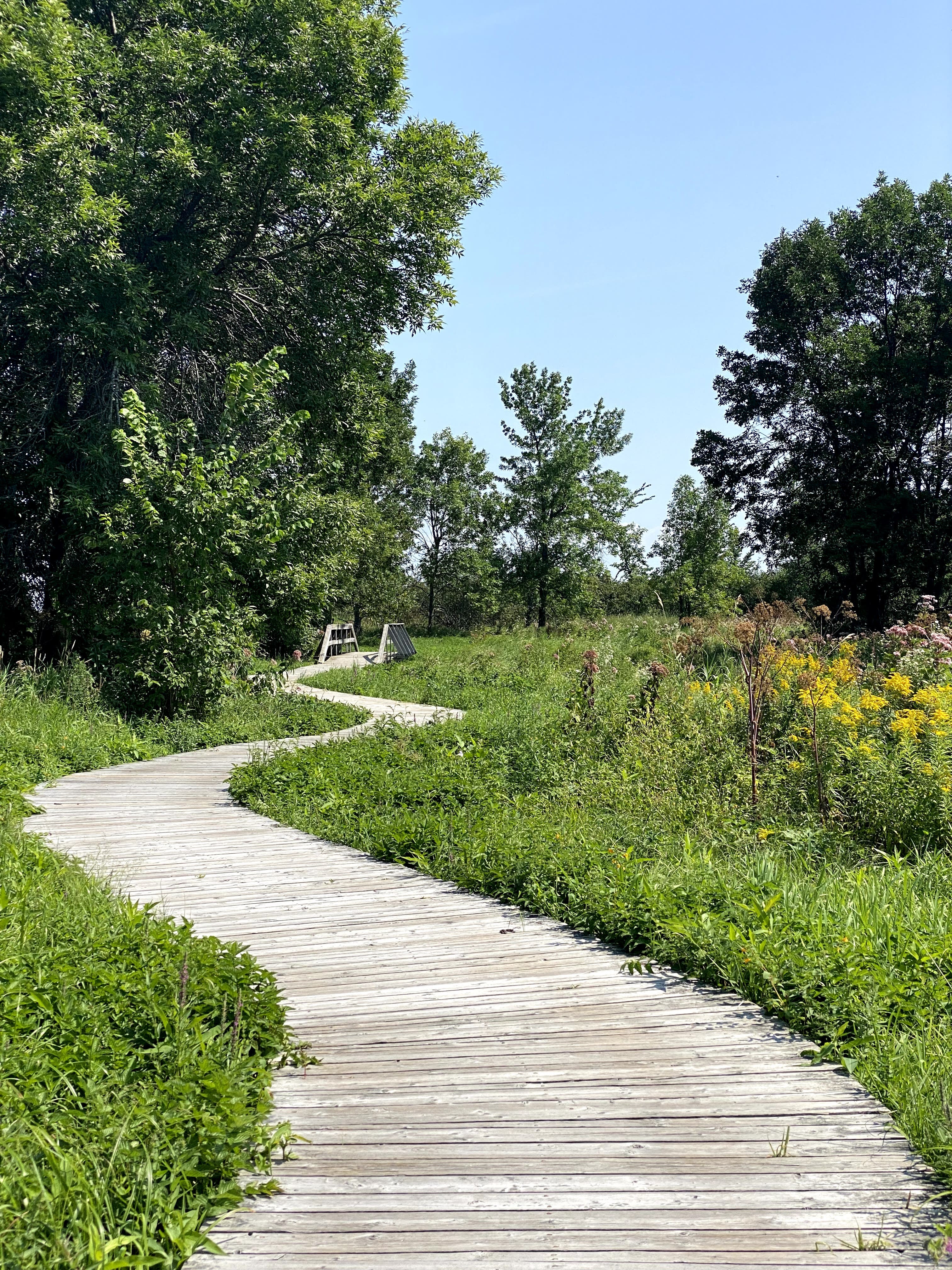 Escapade_decouverte_sur_la_cote_de_Beaupré_Incontournables