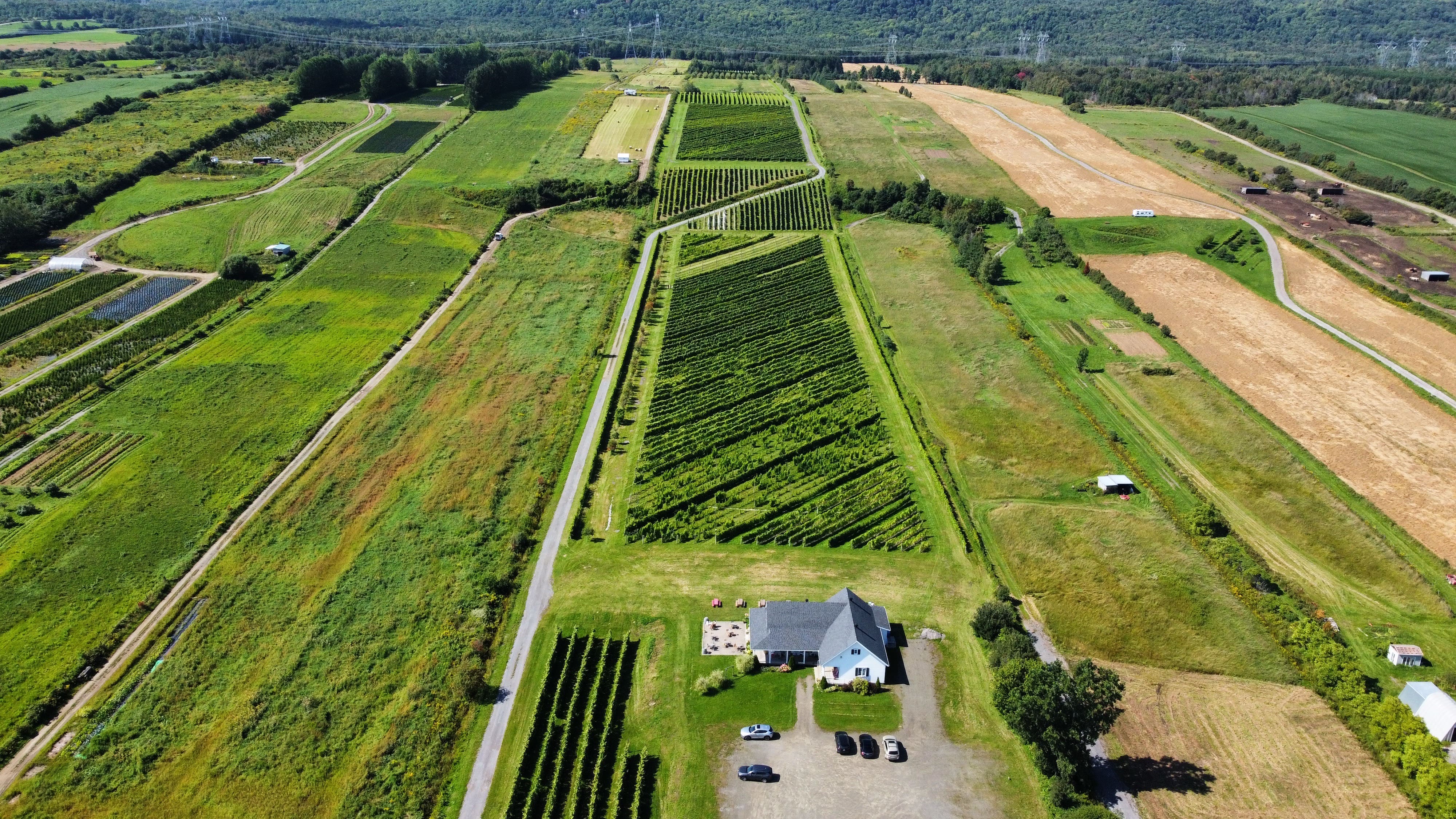 Escapade_decouverte_sur_la_cote_de_Beaupré_Incontournables