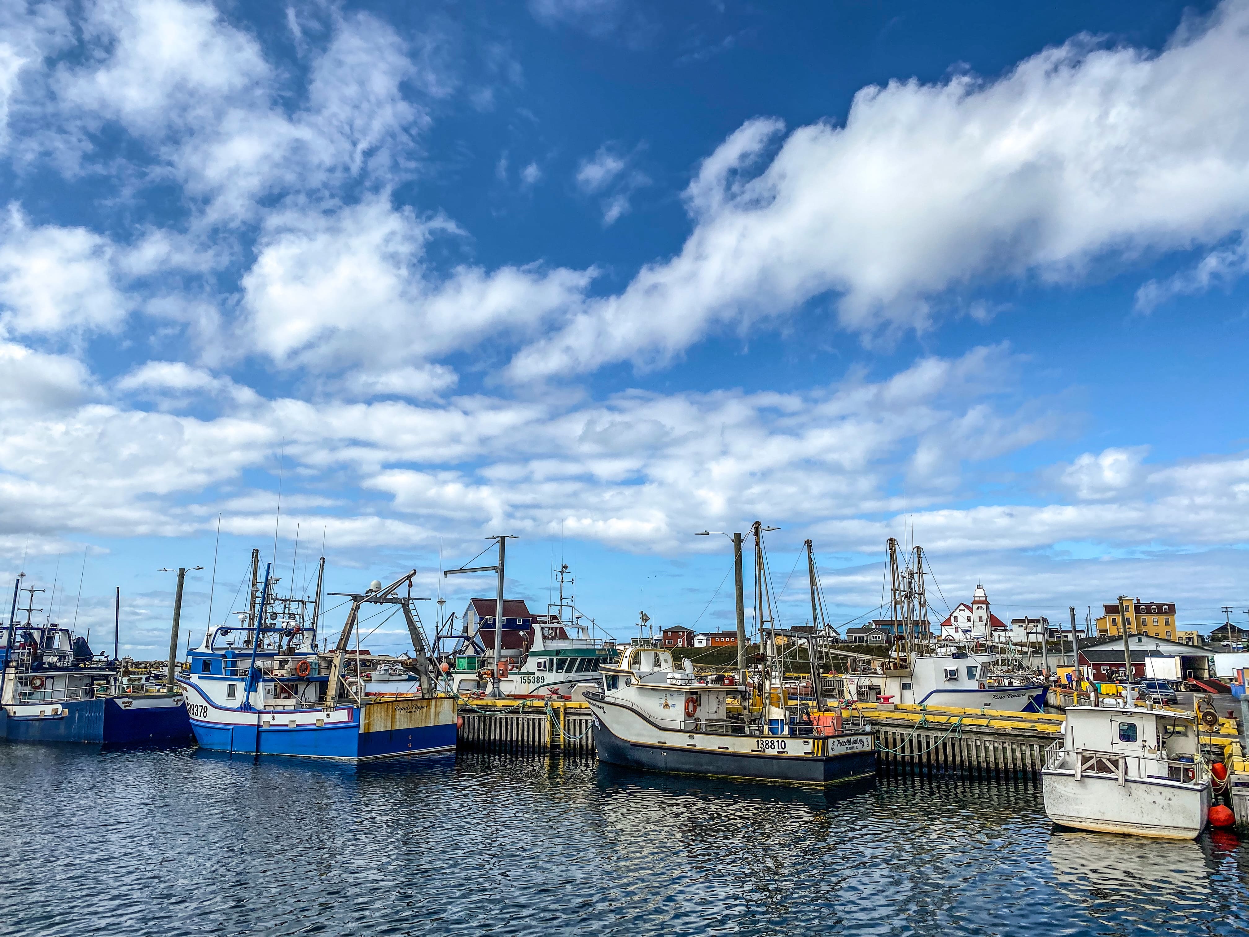 Road_trip_a_Terre_Neuve