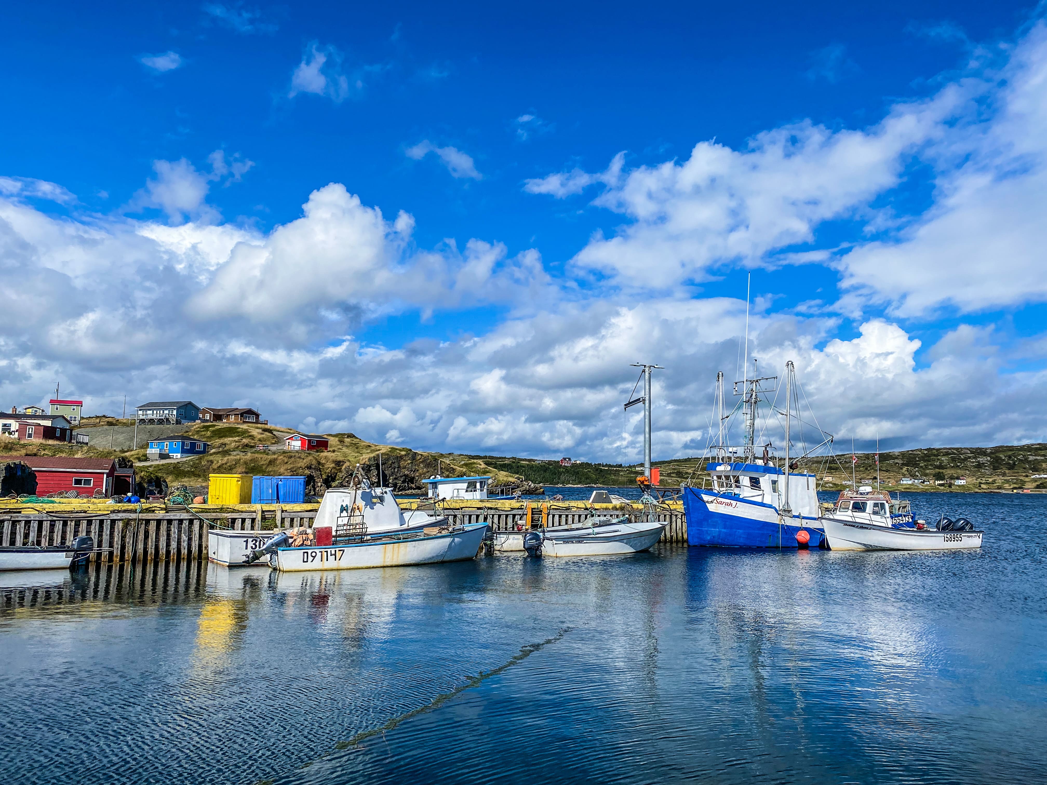 Road_trip_a_Terre_Neuve