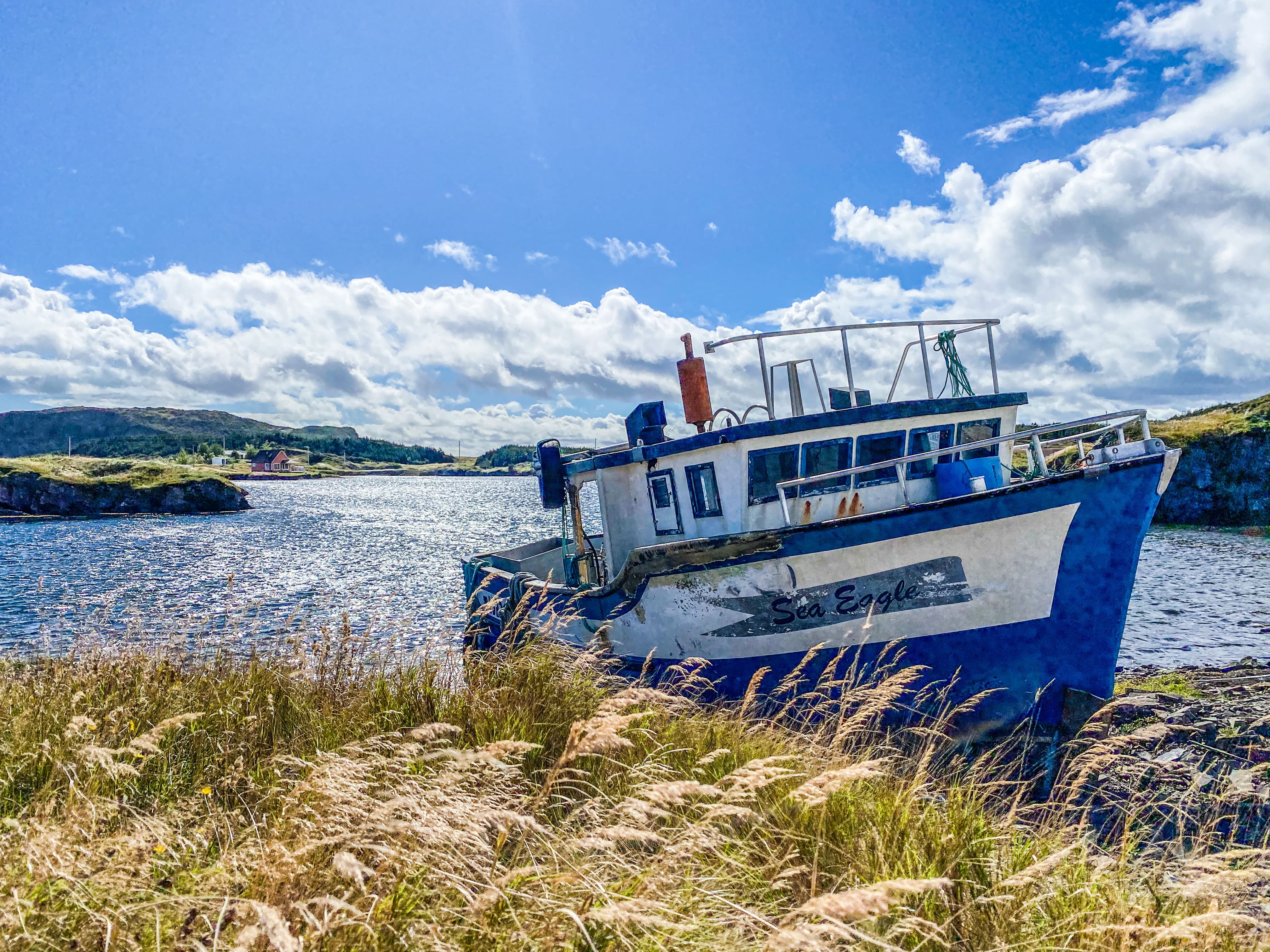 Road_trip_a_Terre_Neuve