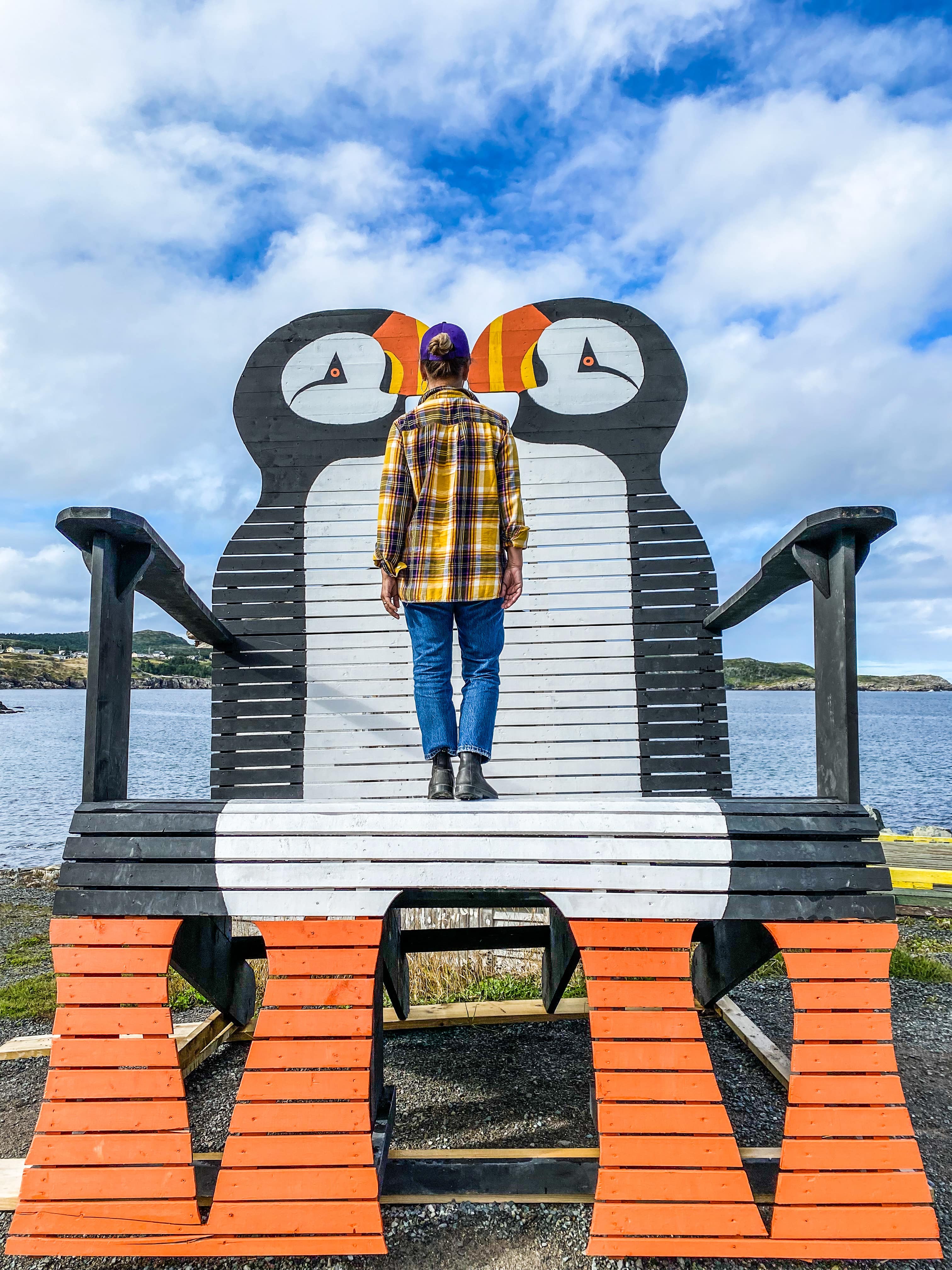 Road_trip_a_Terre_Neuve