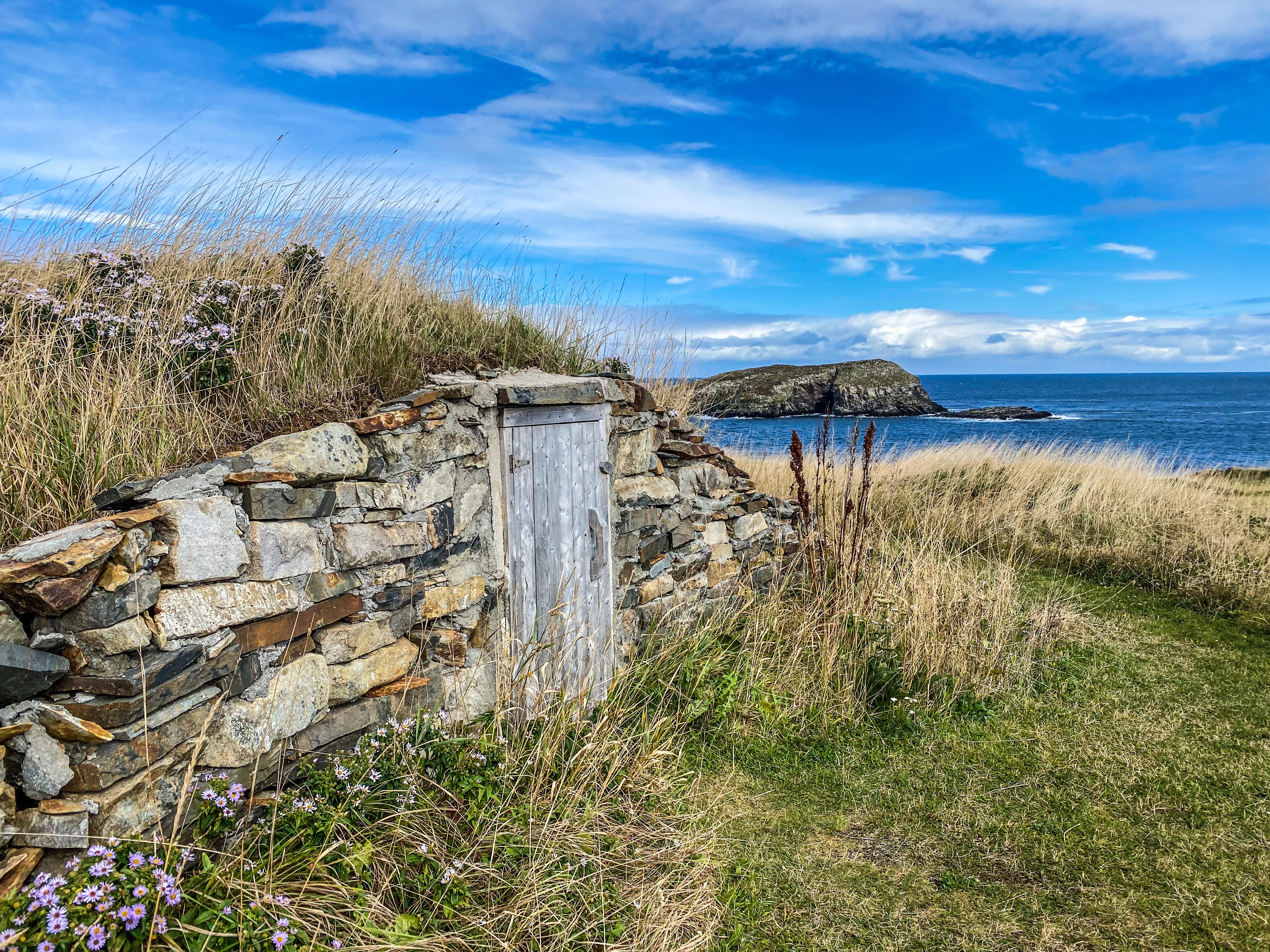 Road_trip_a_Terre_Neuve