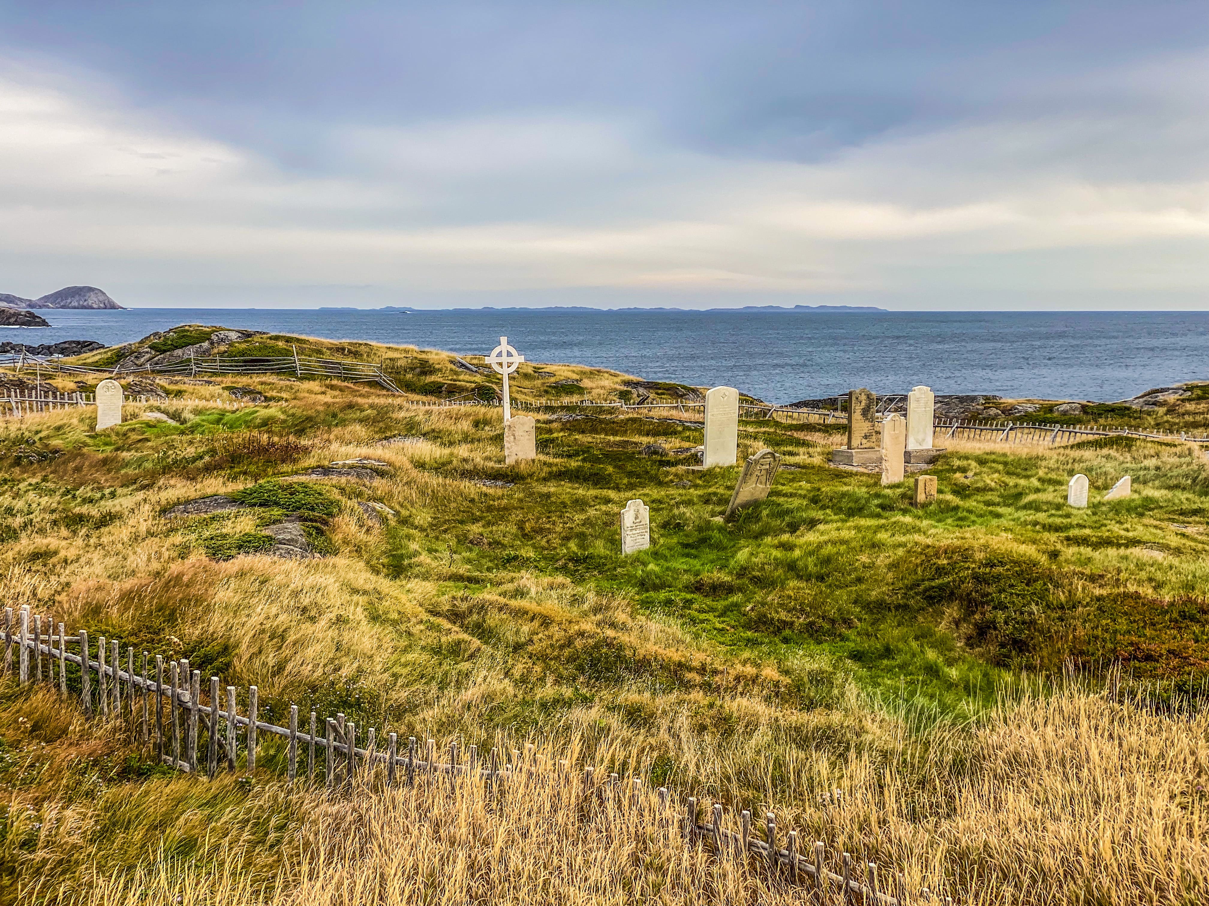 Road_trip_a_Terre_Neuve