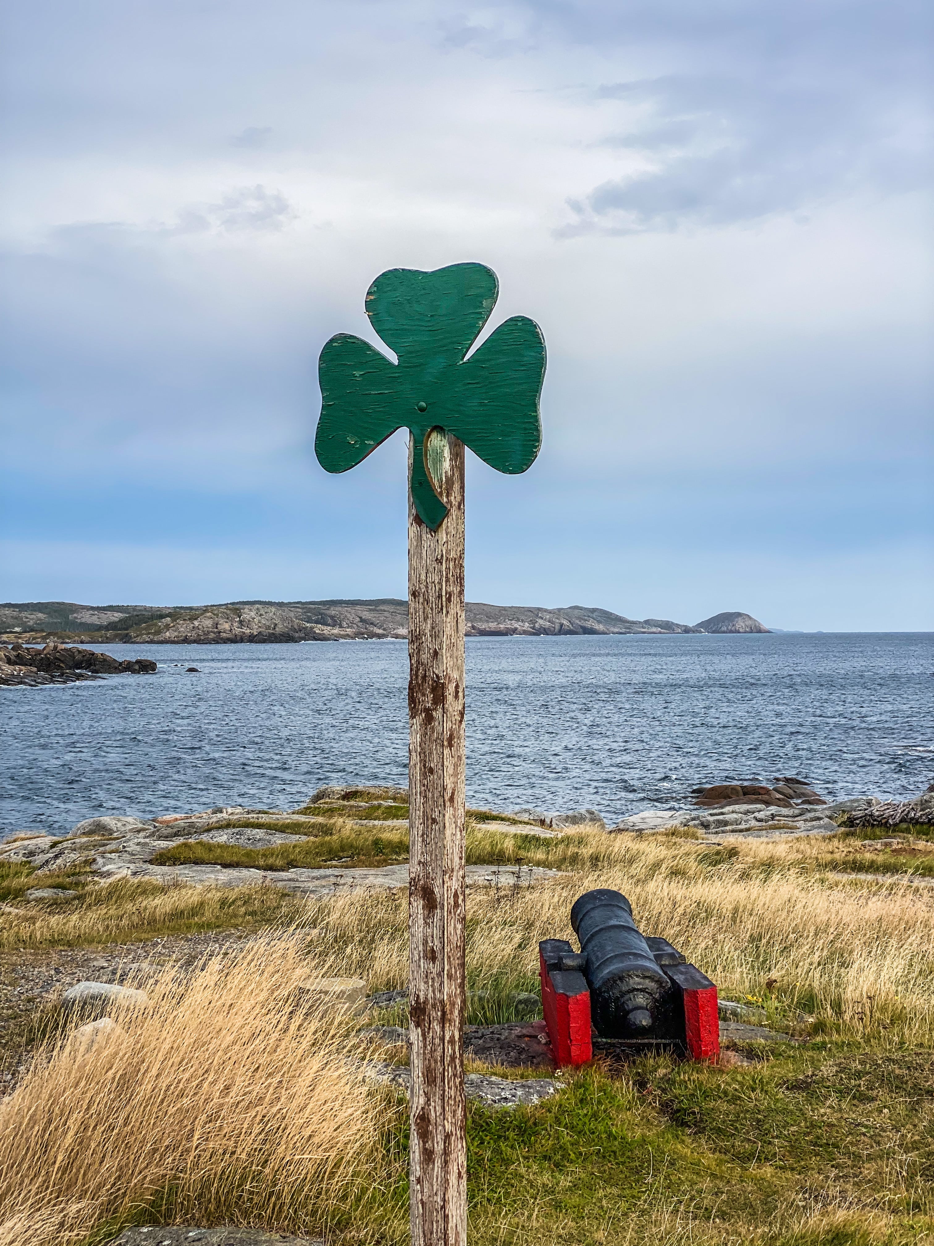 Road_trip_a_Terre_Neuve