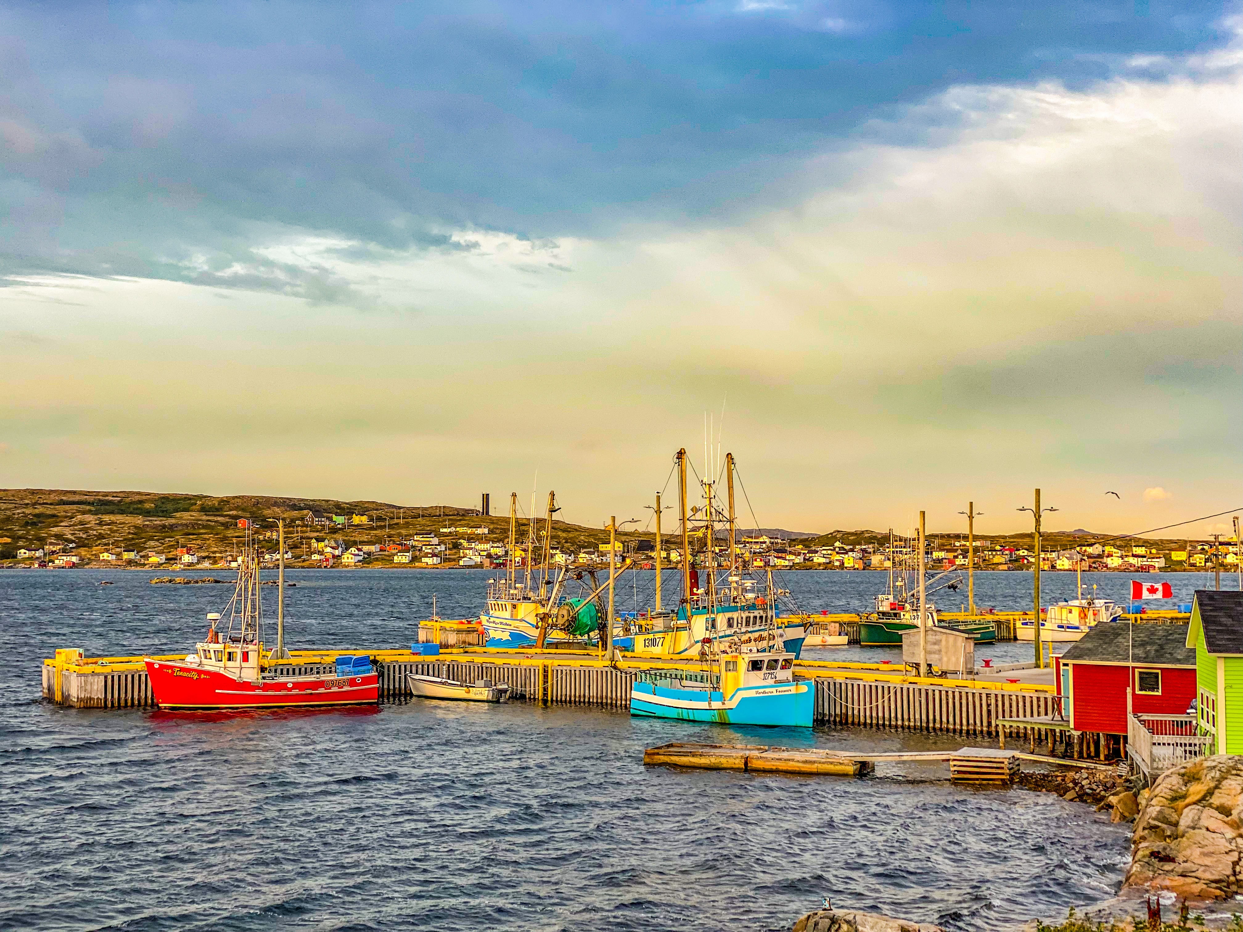 Road_trip_a_Terre_Neuve