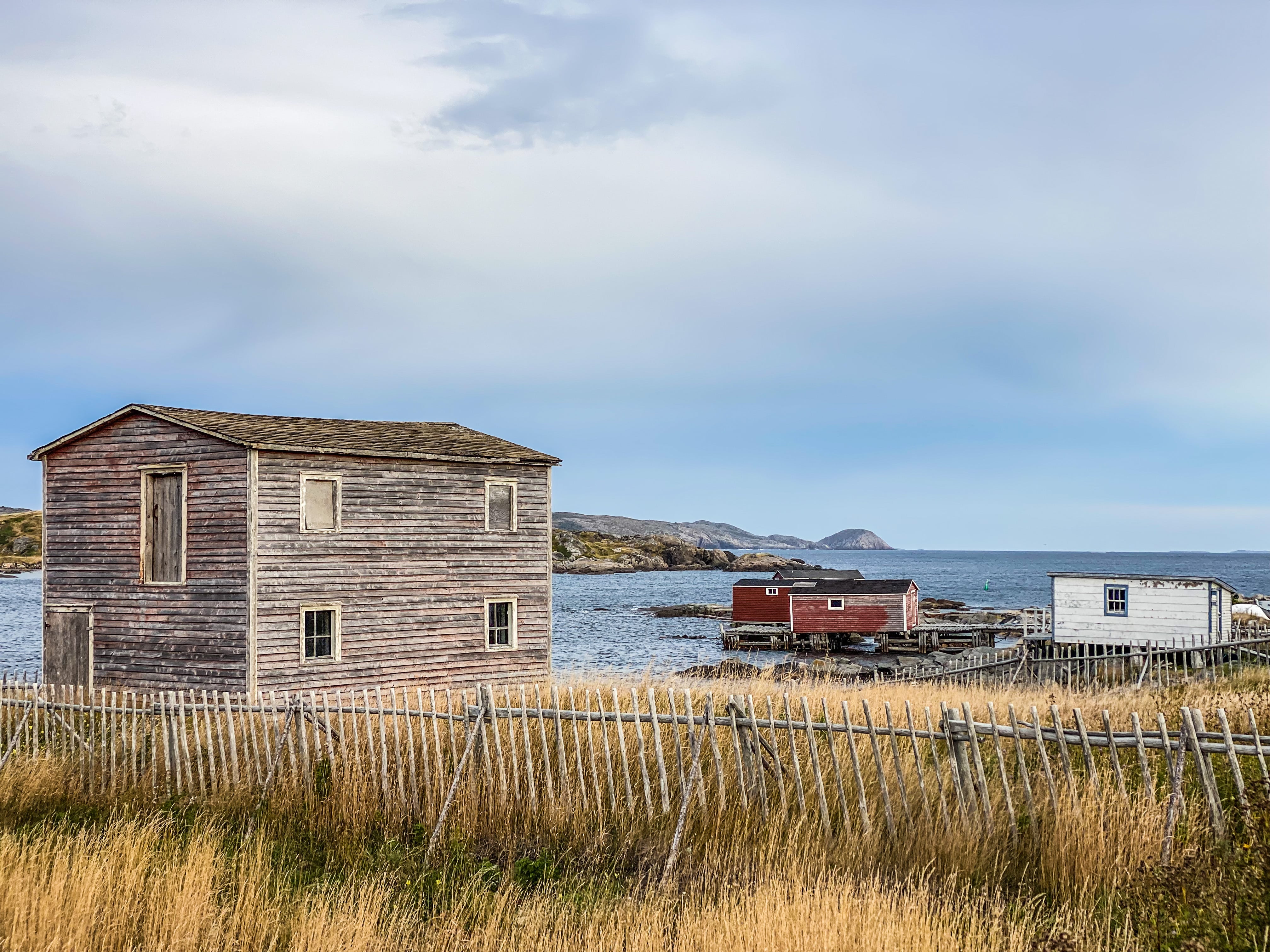 Road_trip_a_Terre_Neuve