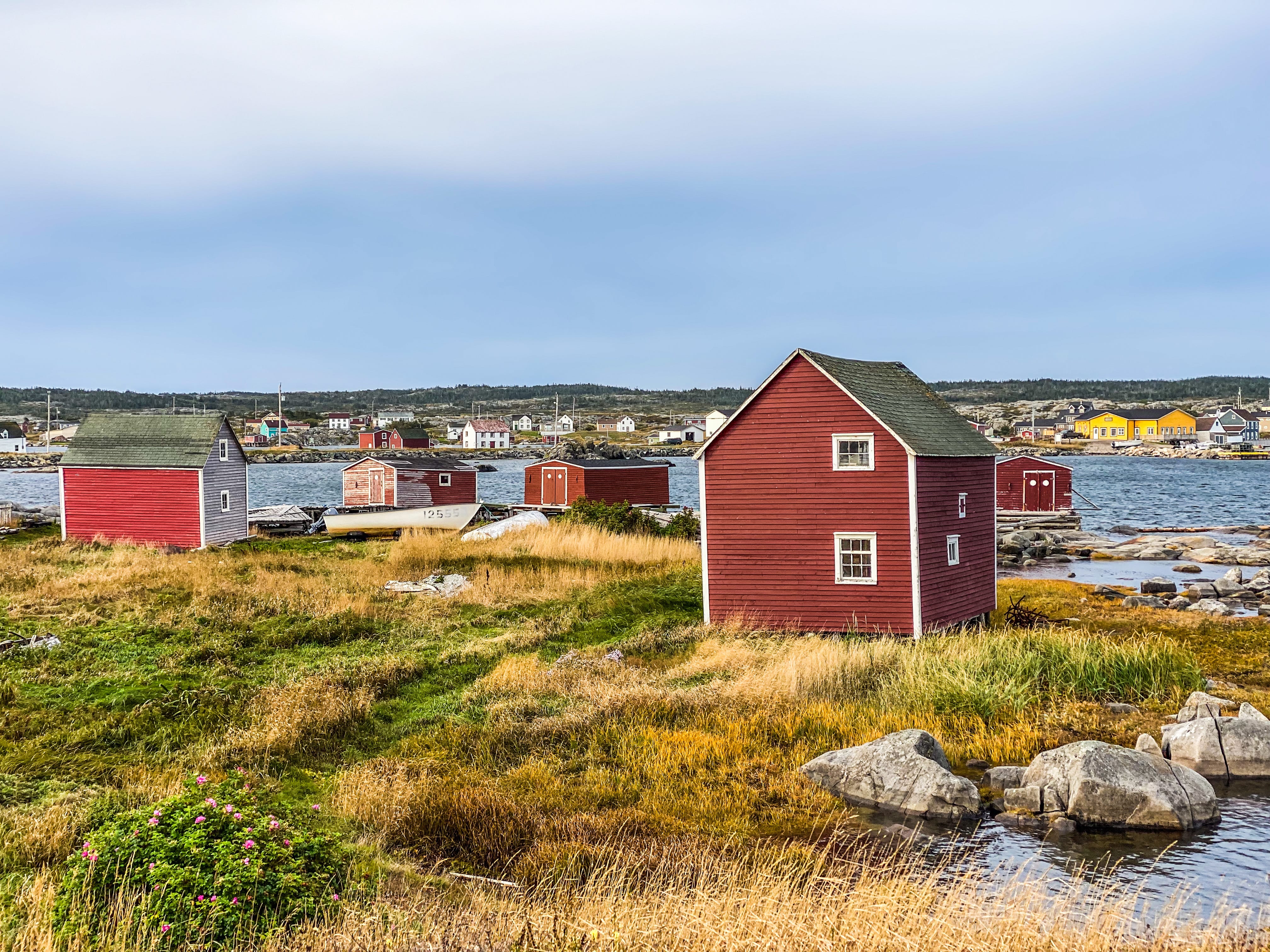 Road_trip_a_Terre_Neuve