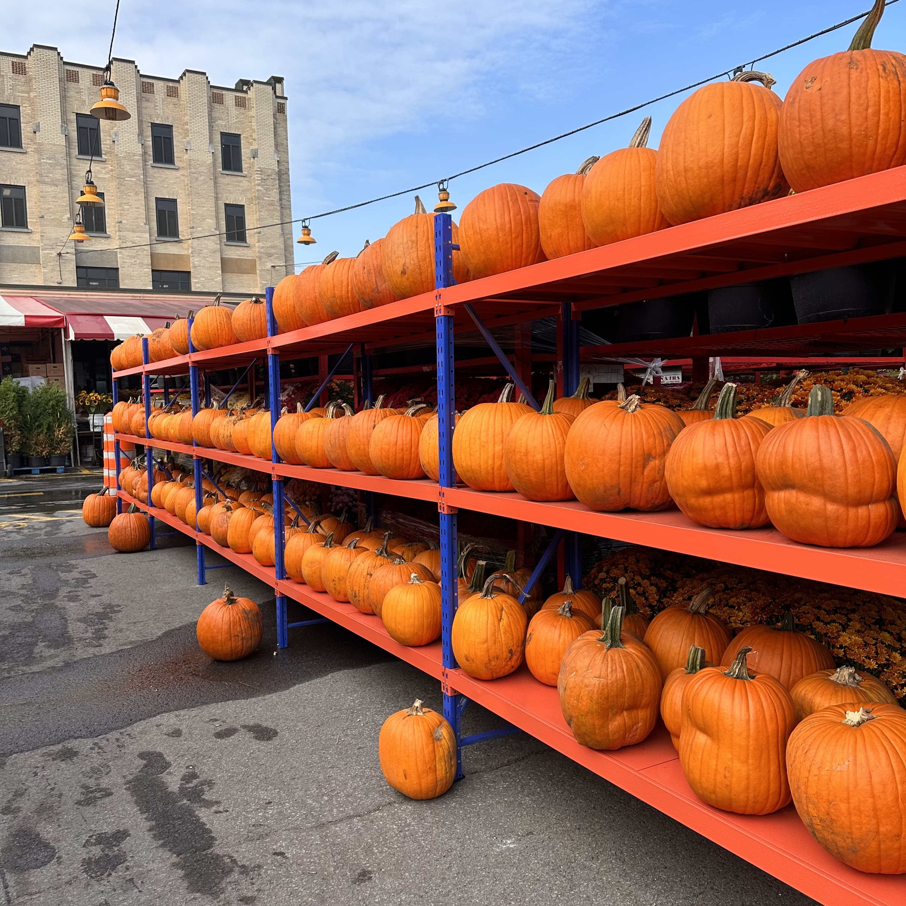 Escapade_automne_Montréal_quoi_faire_quoi_voir