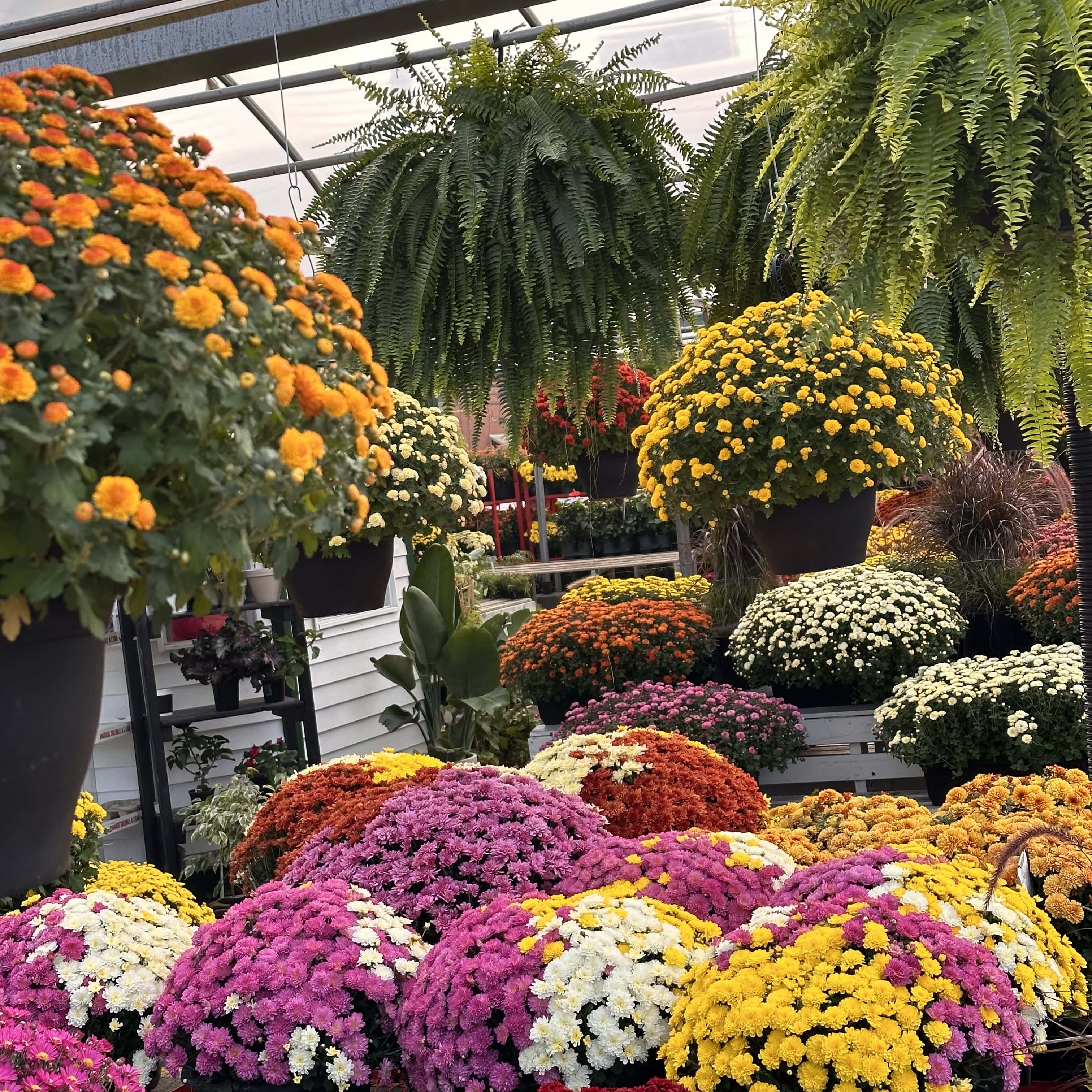 Escapade_automne_Montréal_quoi_faire_quoi_voir